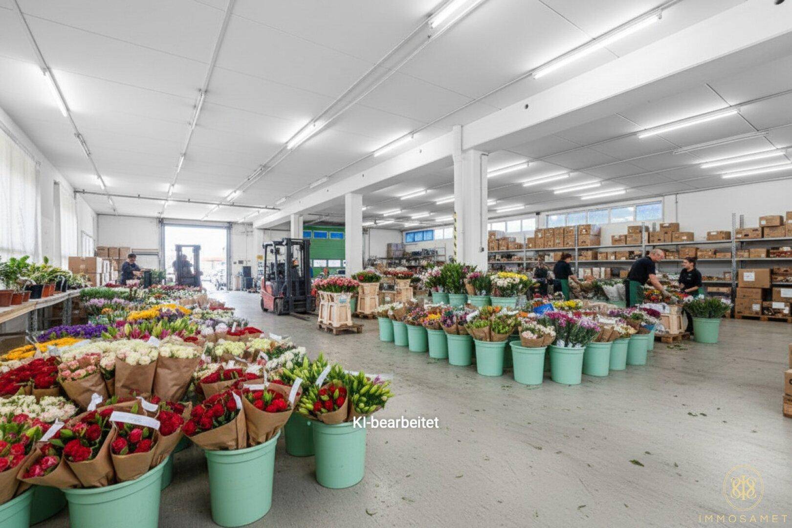 Geräumiger Innenraum, gefüllt mit einer großen Auswahl an frischen Blumen in Eimern und auf Paletten, bereit für den Verkauf.