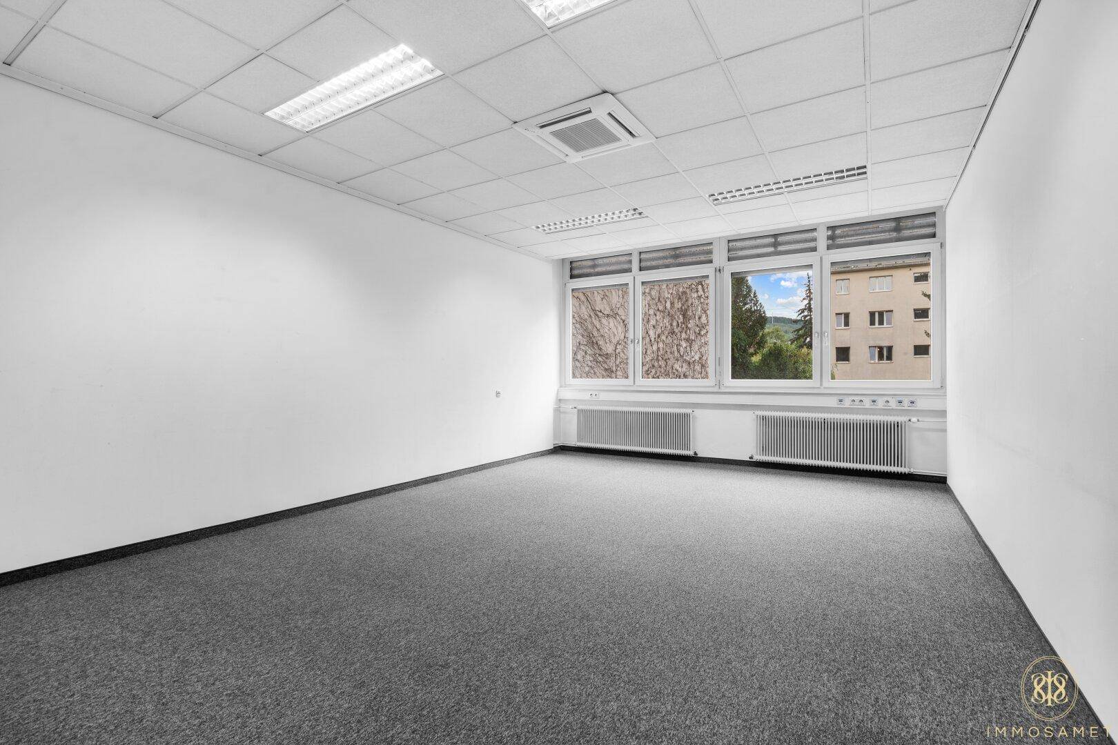 Geräumiges, leeres Büro mit Teppichboden und Fenstern, die einen Blick ins Grüne bieten.