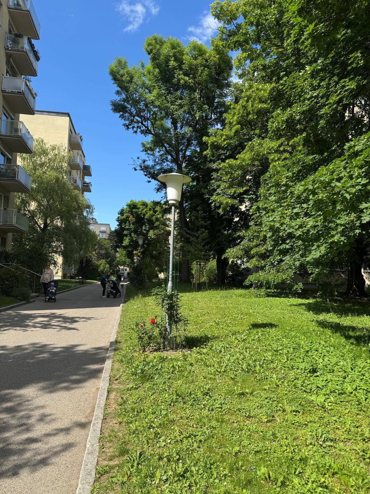 Slide 6
