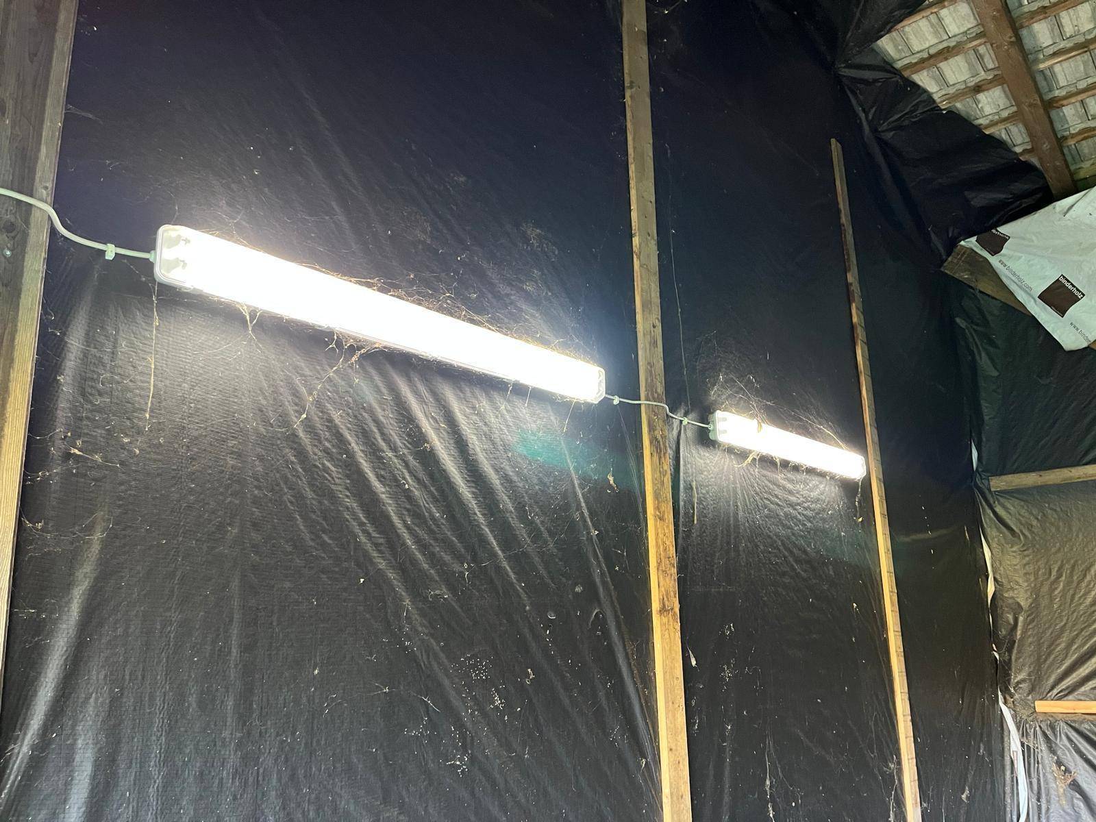 Innenansicht eines Lagerraums mit Leuchtstoffröhren und sichtbaren Holzbalken an der Decke.