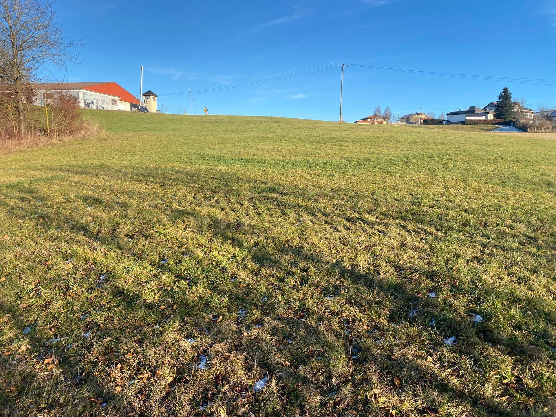 Sonniges grünes Feld mit einem Gebäude und Stromleitungen am Horizont, umgeben von ländlicher Landschaft.