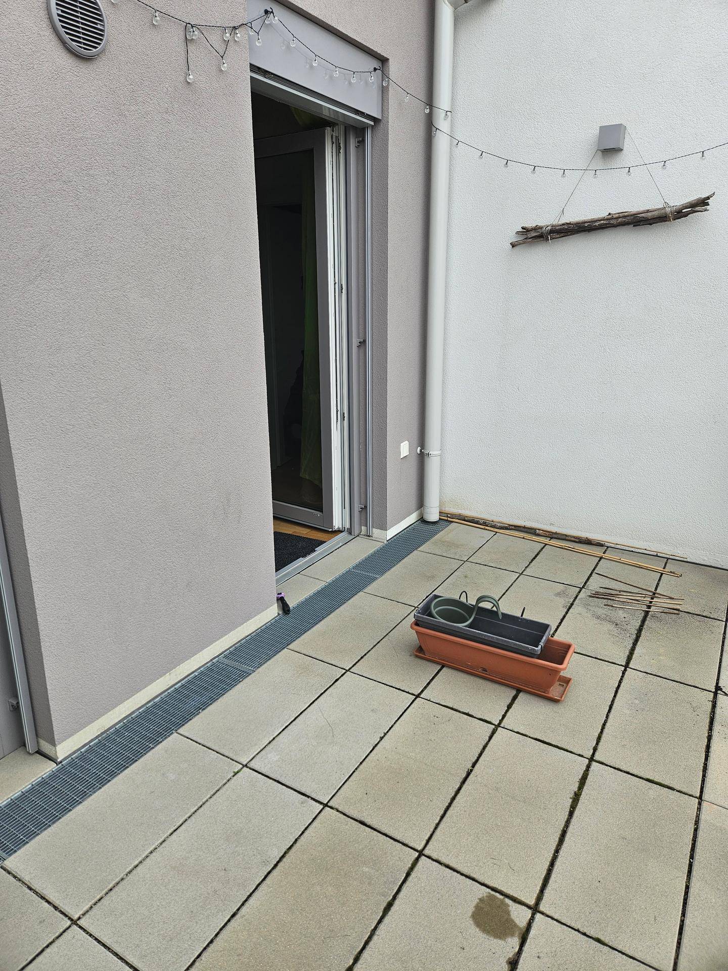 Slide 6