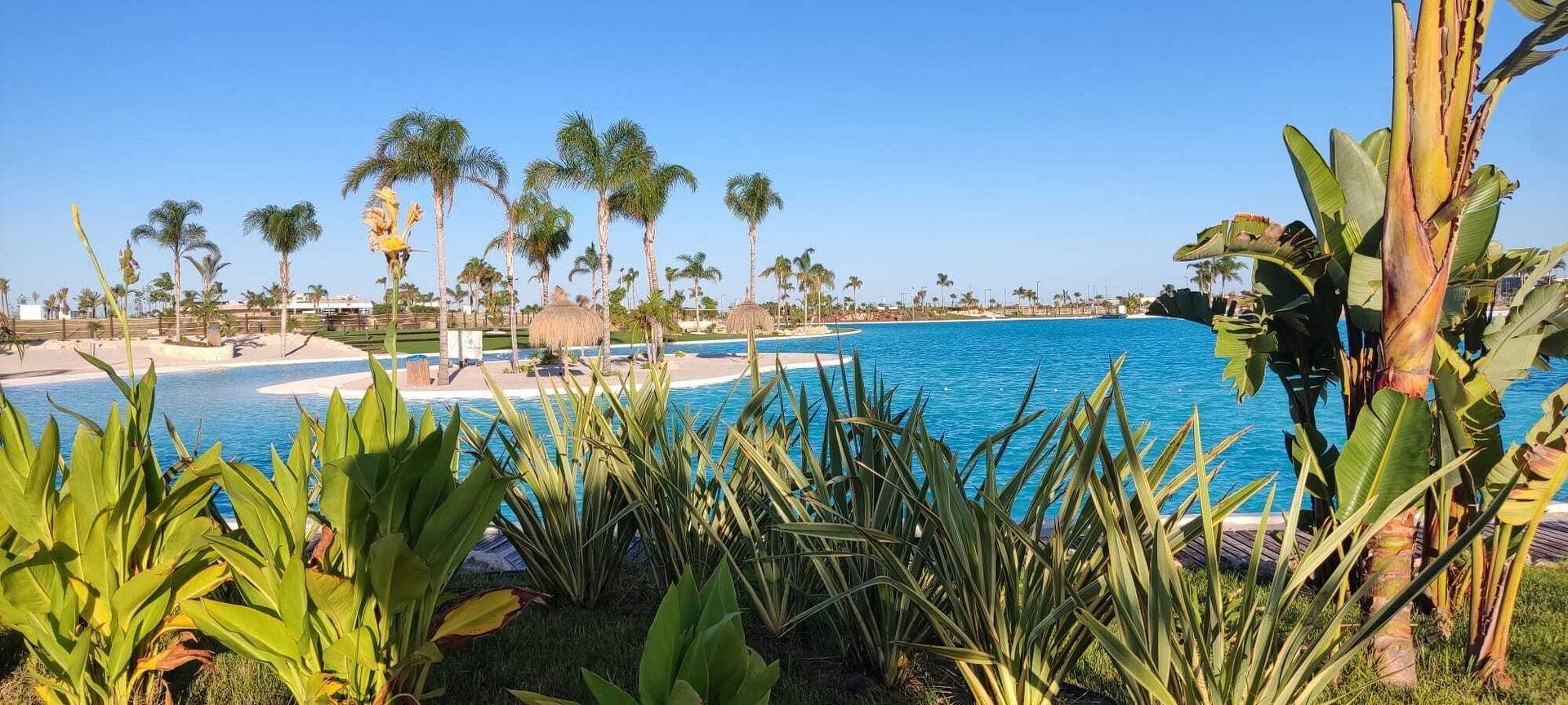 Üppige tropische Vegetation im Vordergrund mit Blick auf die künstliche Lagune und Palmen im Hintergrund.
