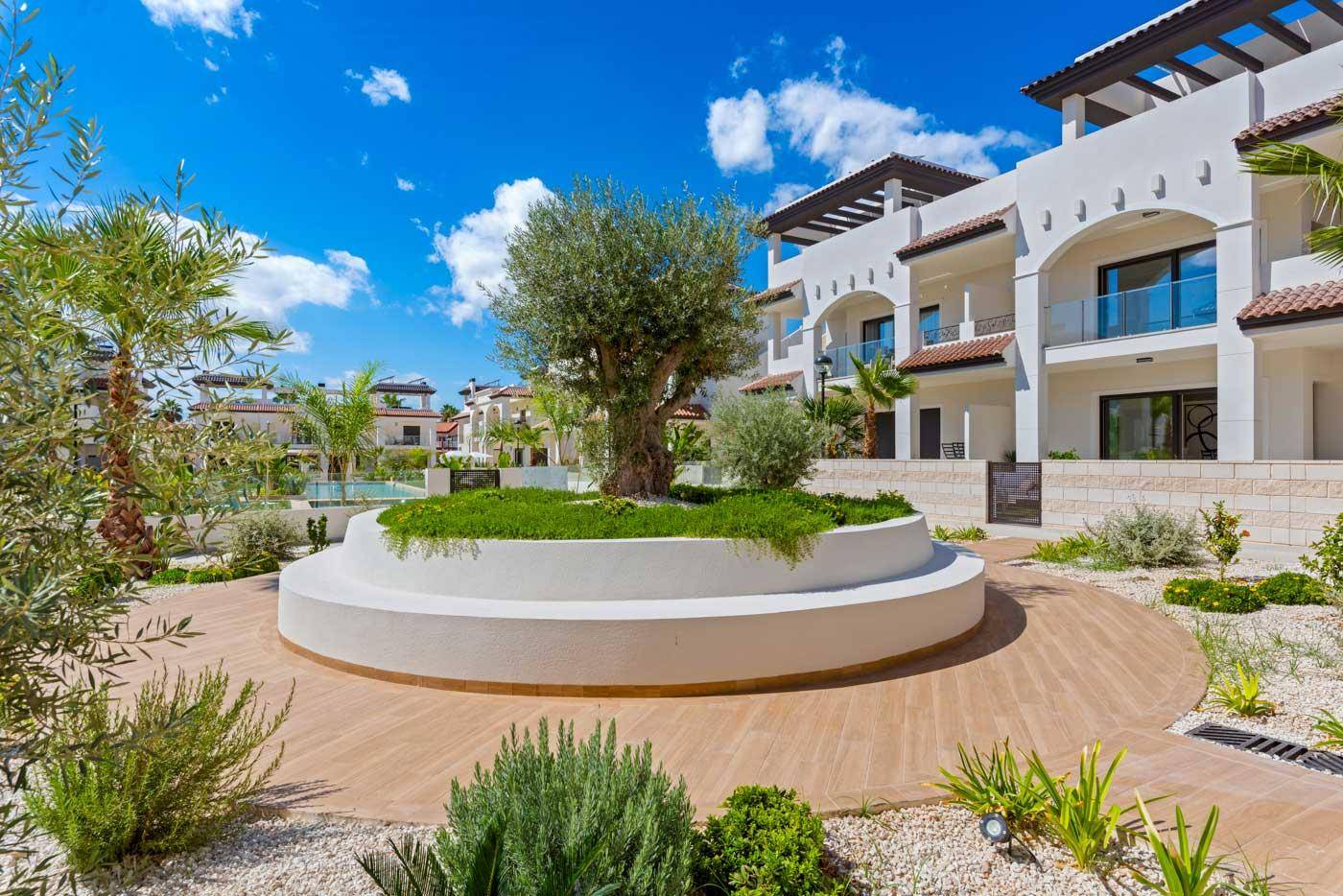 Mediterran gestalteter Gartenbereich mit Olivenbaum und Holzweg, umgeben von modernen Wohngebäuden.
