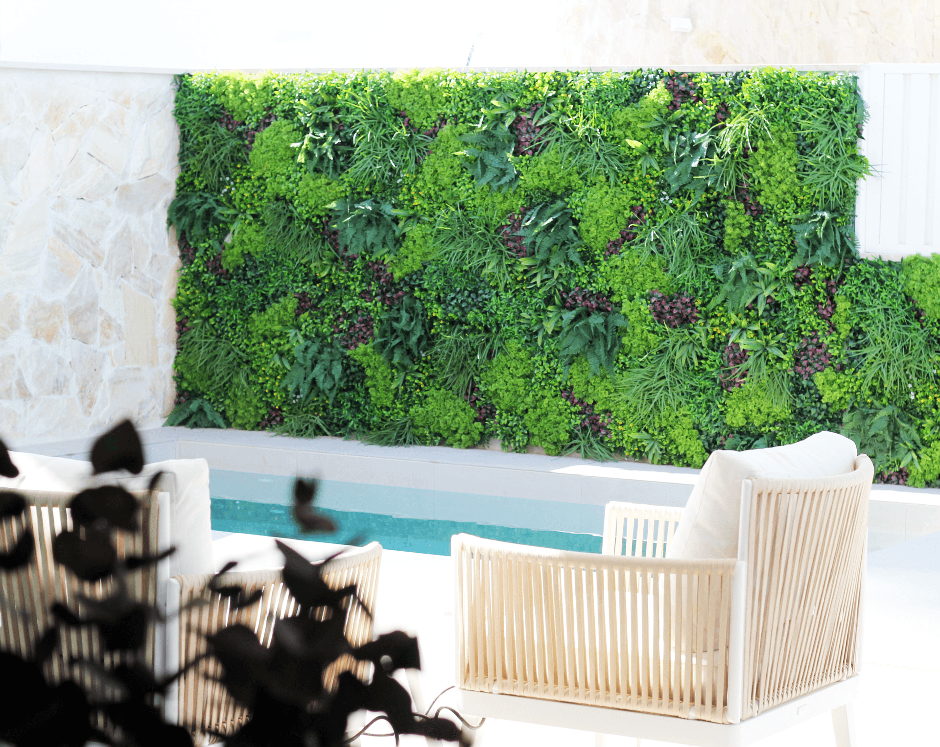 Detailansicht eines vertikalen Gartens an der Wand neben einem kleinen Pool und Lounge-Sesseln.