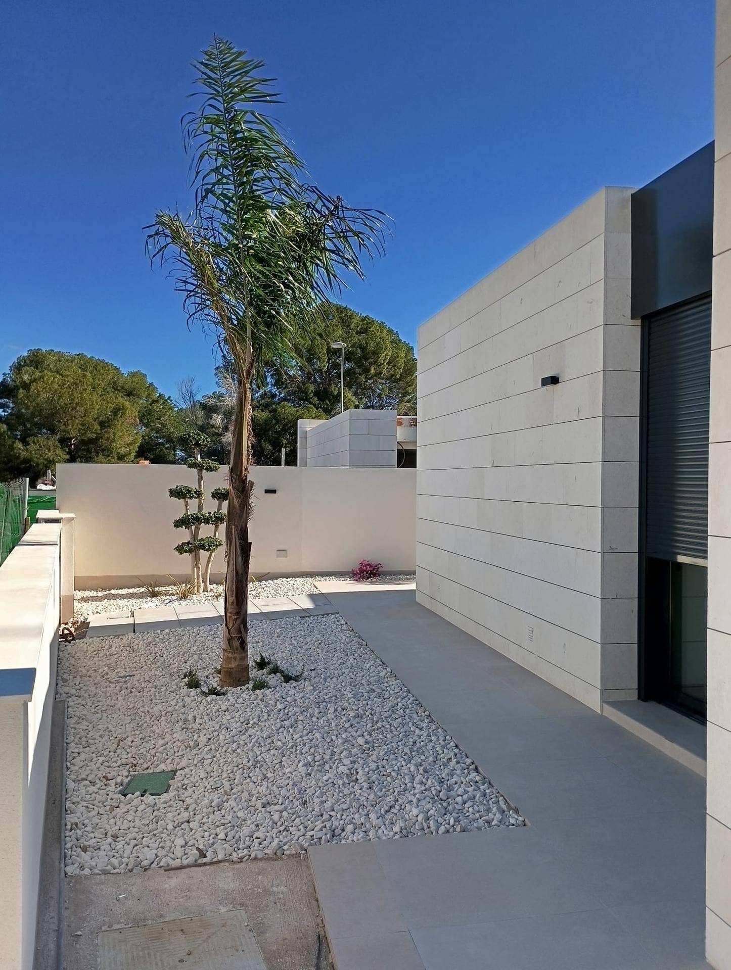 Seitlicher Gartenbereich mit Kiesbeet, einer Palme und minimalistischer Gestaltung neben der Villa.