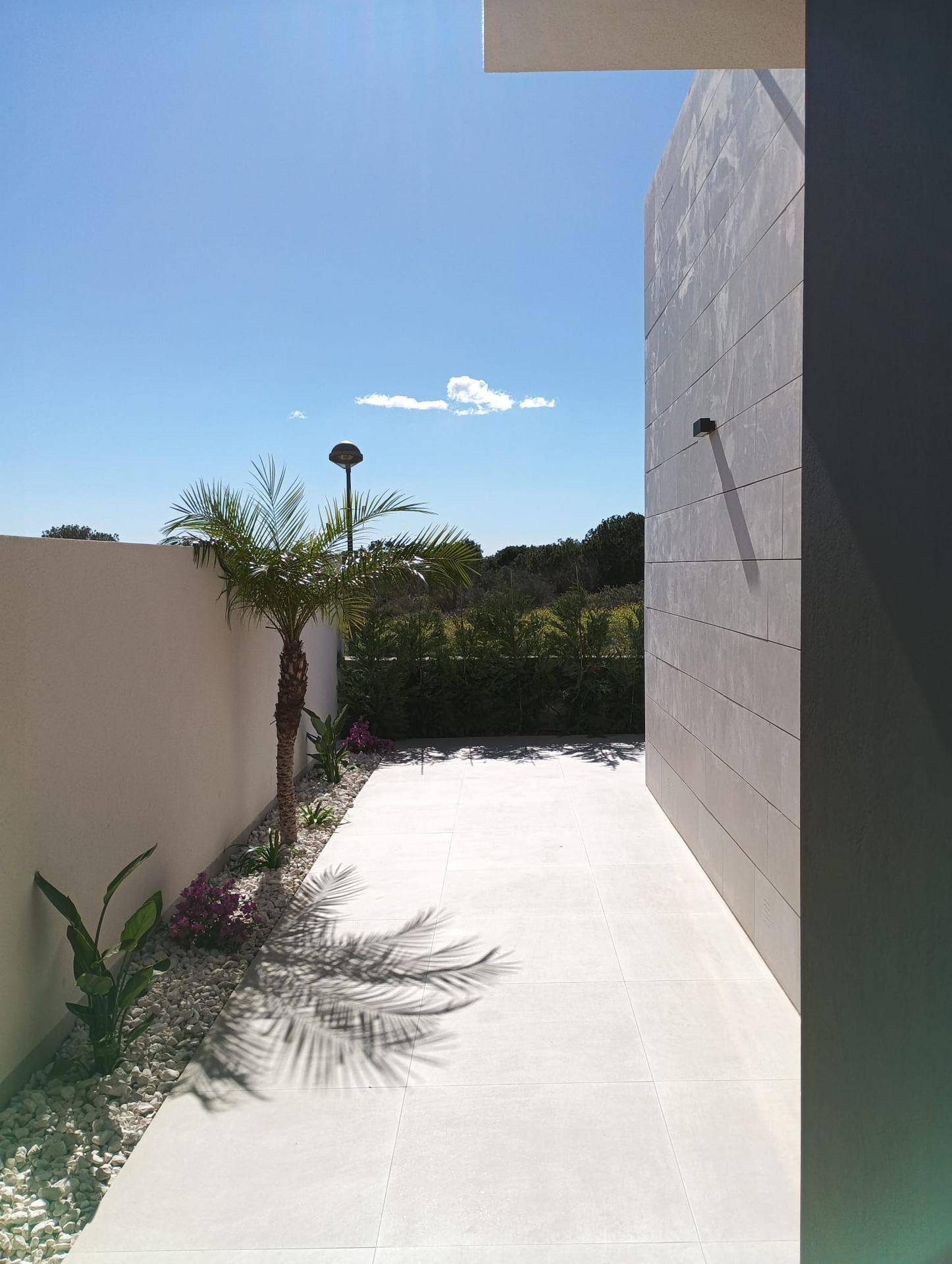 Seitlicher Gartenweg mit Kiesbeet, einer Palme und schattenspendenden Pflanzen an der Hauswand.