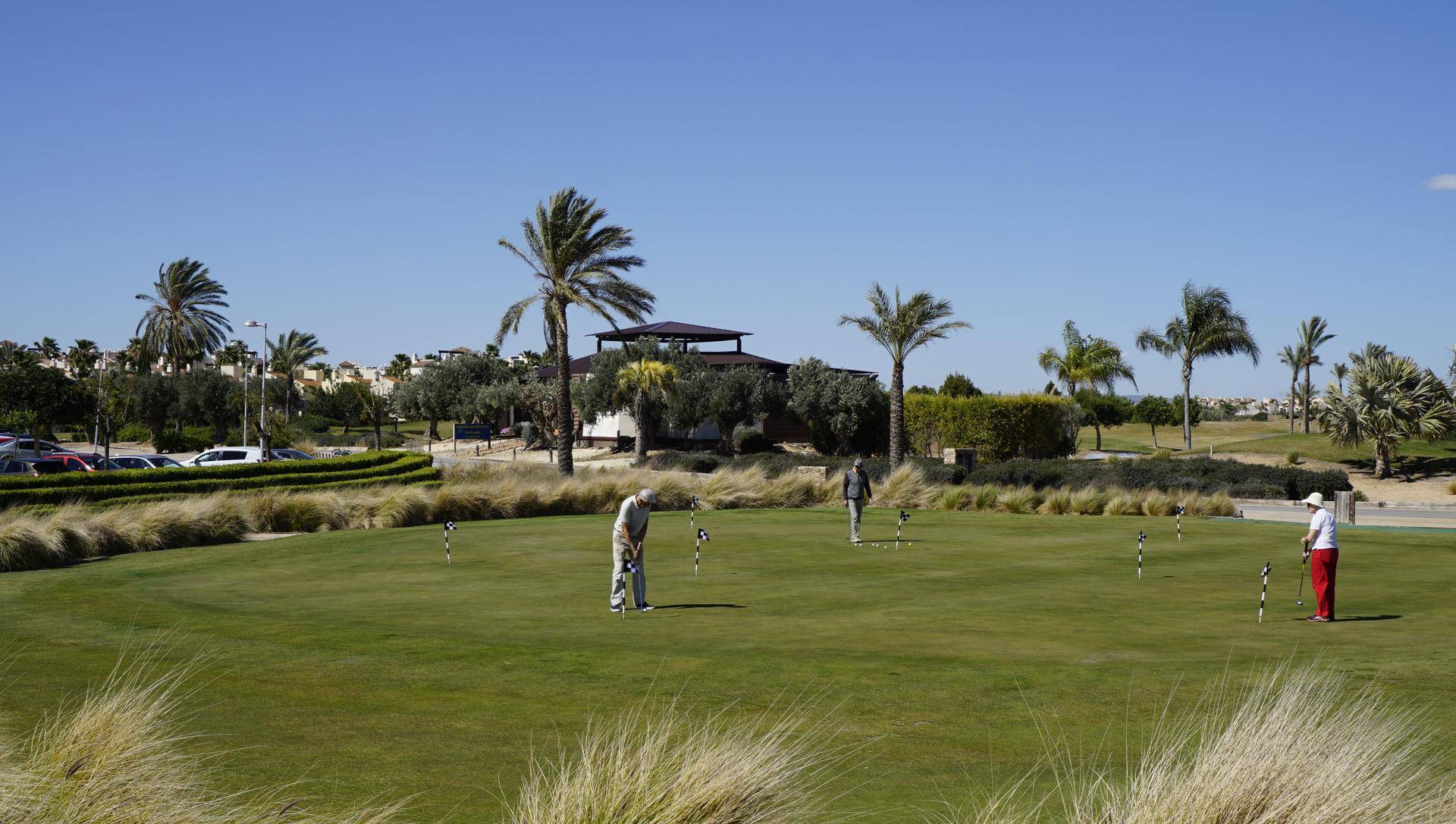 Golfer auf einem Putting Green, umgeben von Palmen und gepflegter Rasenfläche.
