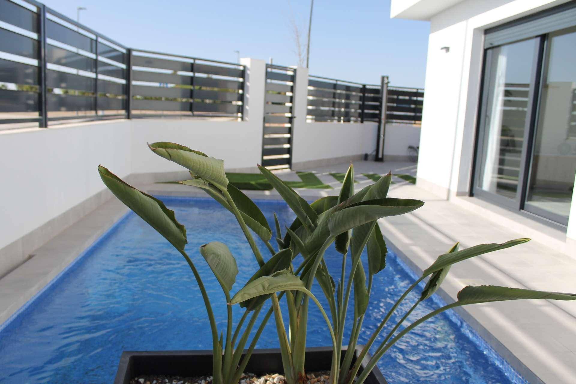 Kleiner privater Poolbereich mit blauen Fliesen und einer tropischen Pflanze.