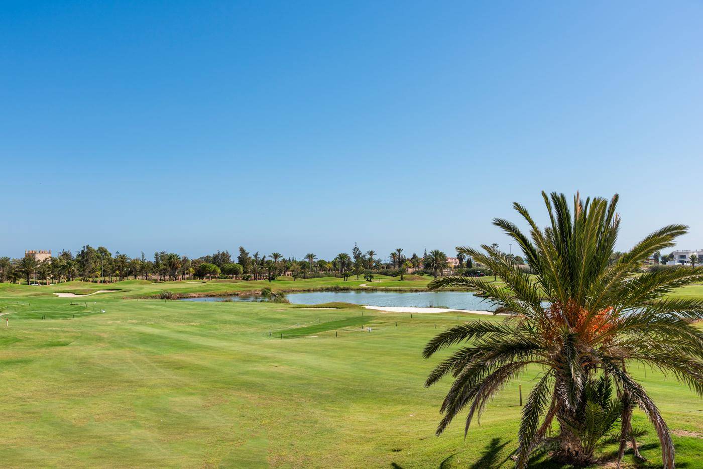 Weitläufiger Blick über einen grünen Golfplatz mit Wasserhindernissen und Palmen unter blauem Himmel.