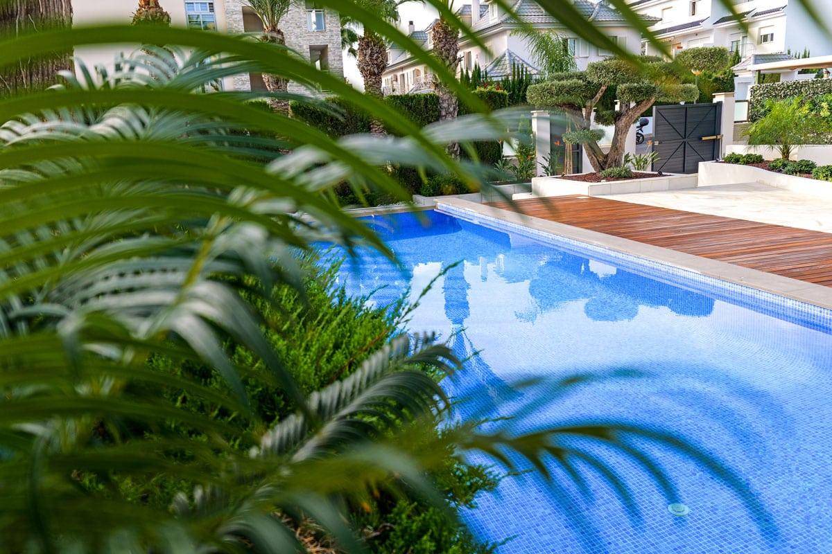 Blick auf den einladenden Pool durch üppiges Grün und tropische Pflanzen im Gartenbereich.