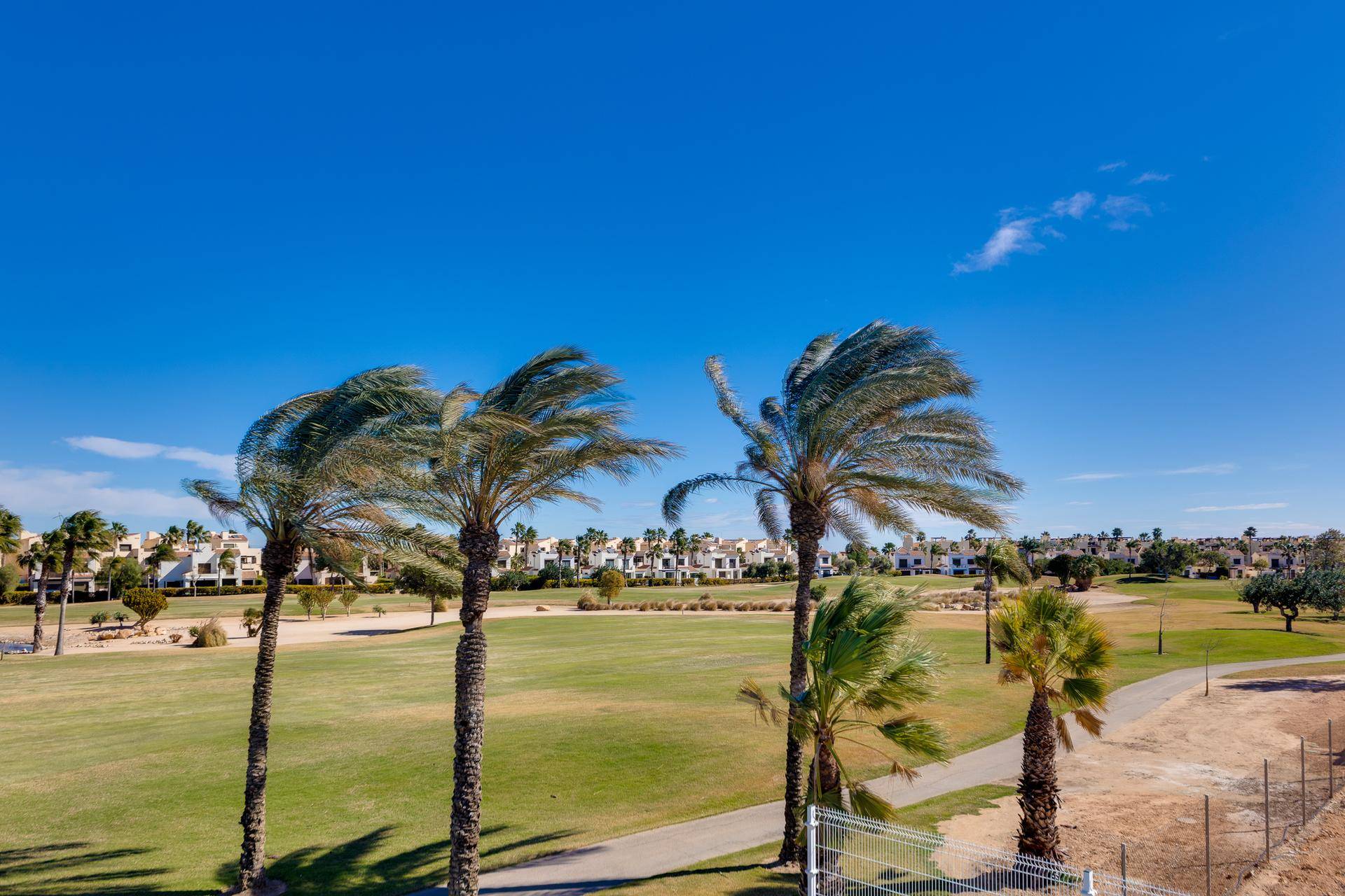Weitläufiger Blick über einen grünen Golfplatz mit Palmen unter blauem Himmel.