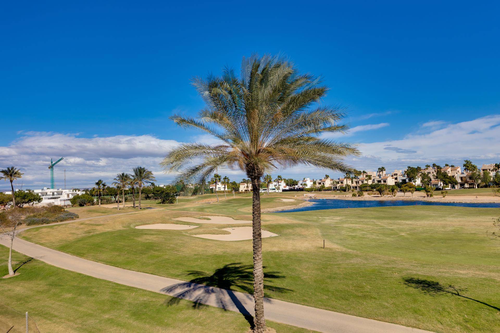Weitläufige Golflandschaft mit Palmen, Wasserflächen und Wohnbebauung im Hintergrund unter blauem Himmel.