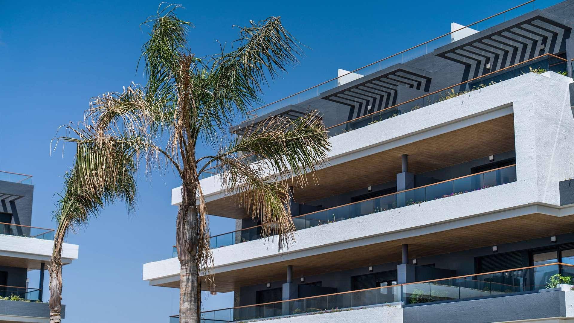 Detailansicht eines modernen Apartmentgebäudes mit Balkonen und Palmen unter klarem Himmel.