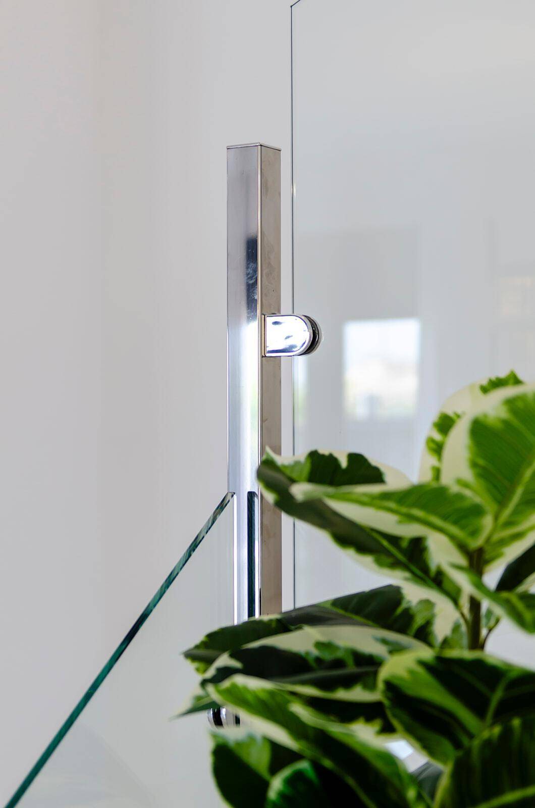 Detailaufnahme eines modernen Glasgeländers mit Metallbefestigung und Pflanze.
