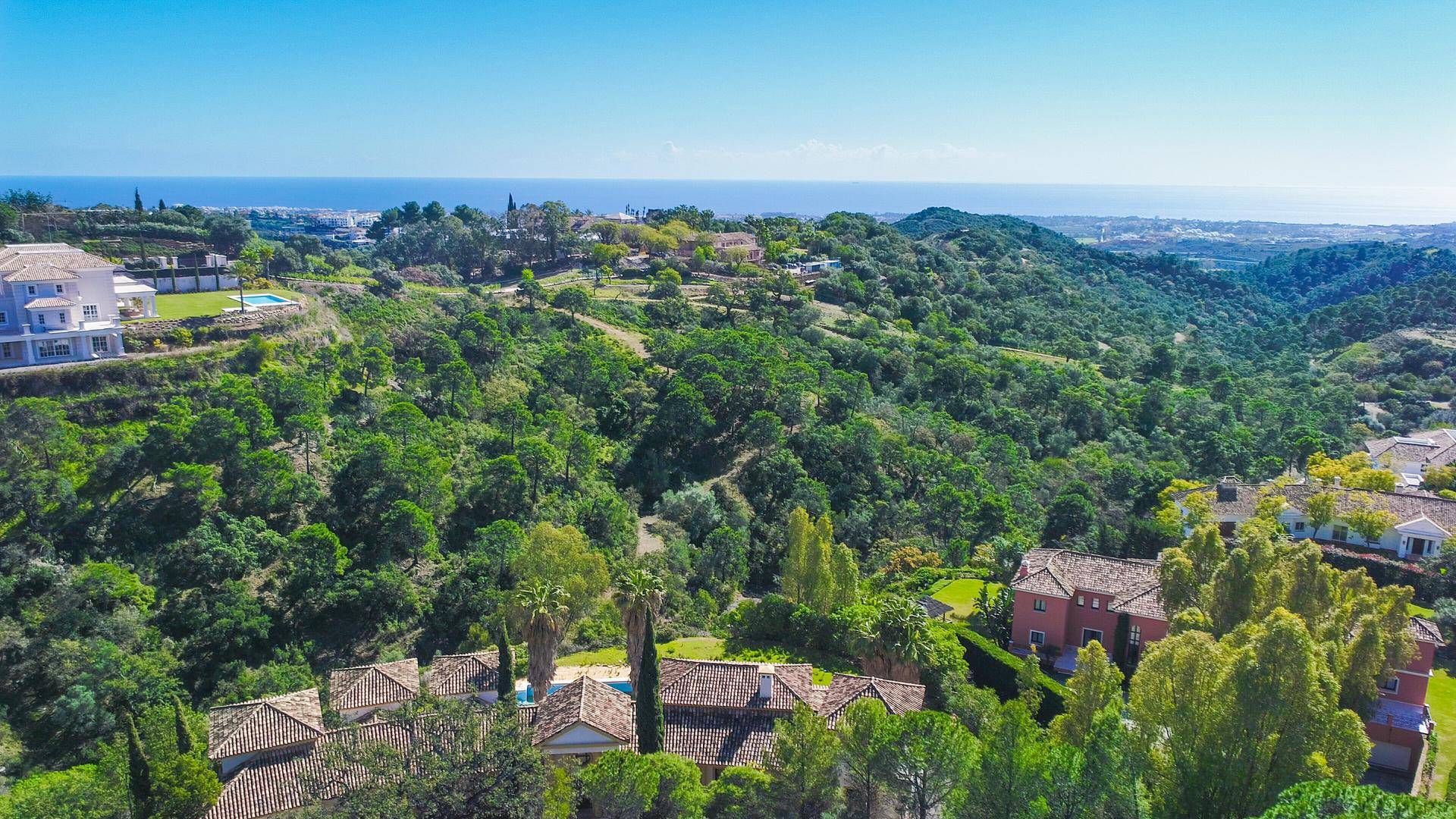 DJI_0234