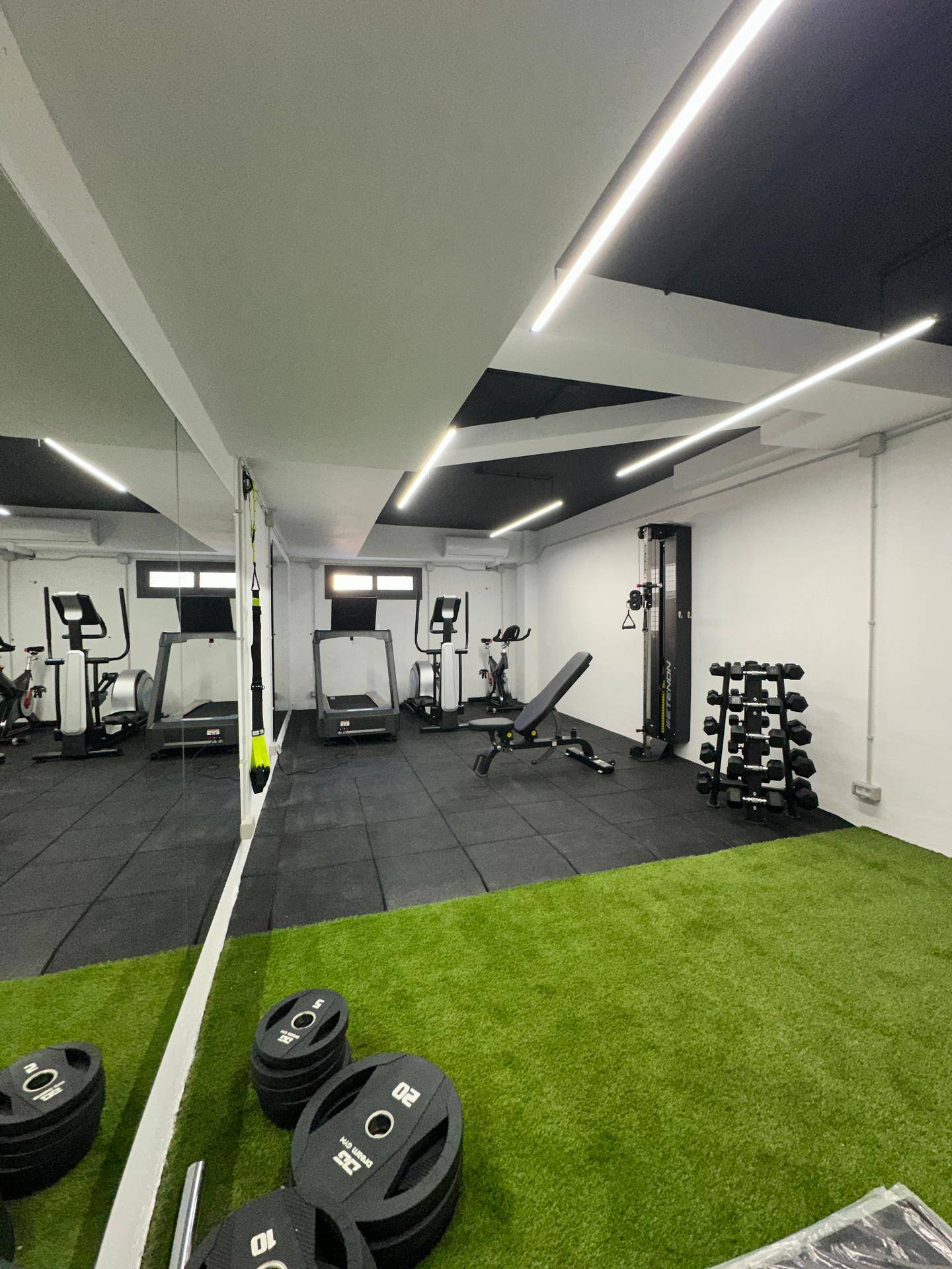 Geräumiger Fitnessraum mit Spiegelwand, Trainingsgeräten und Kunstrasen.