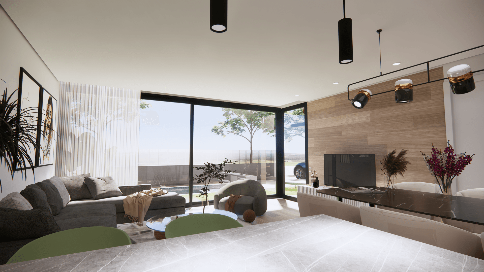 Livingarea1