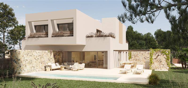 Larus exterior