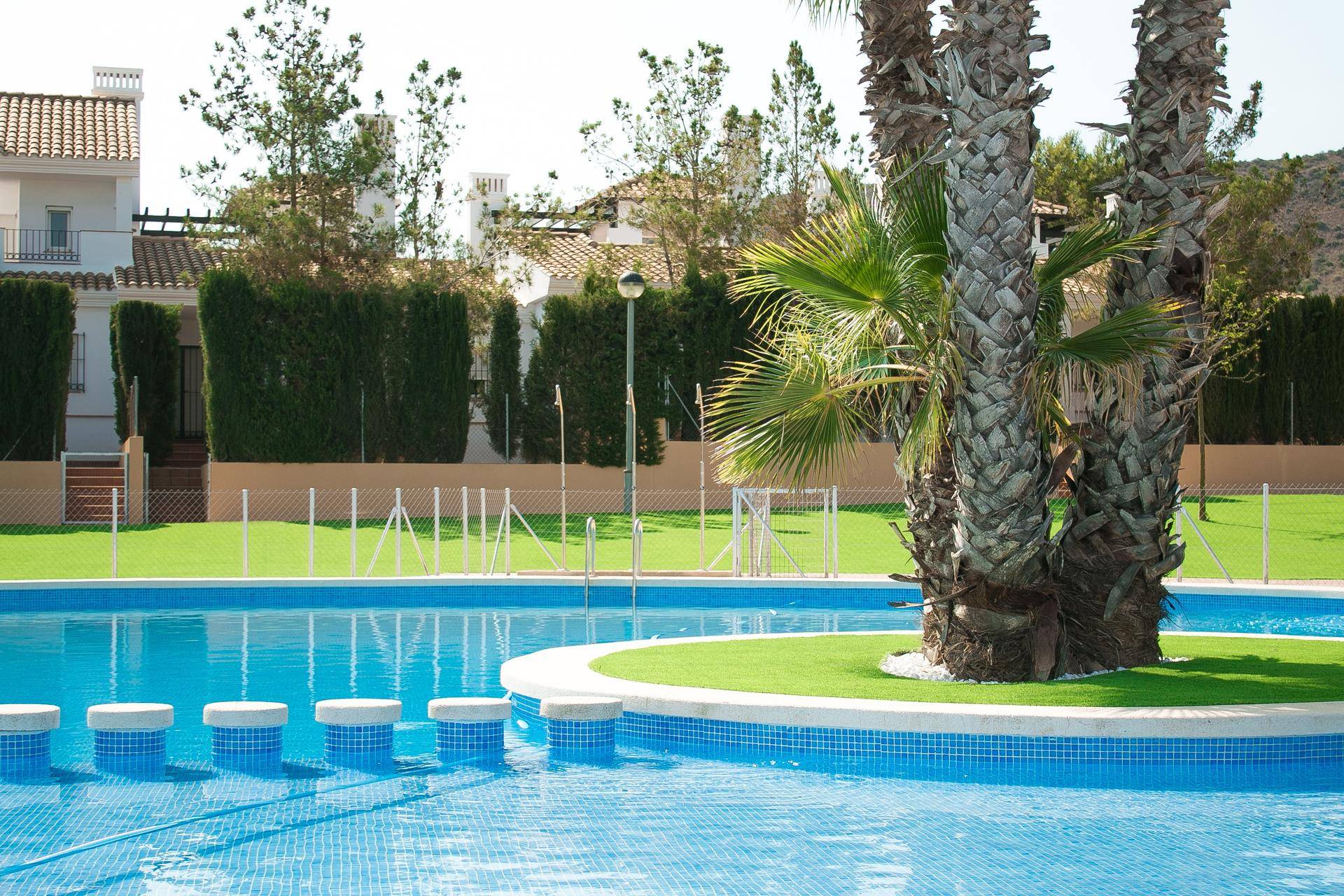 Gemeinschaftspool mit blauen Fliesen, Palmen und Wohnhäusern im Hintergrund unter blauem Himmel.