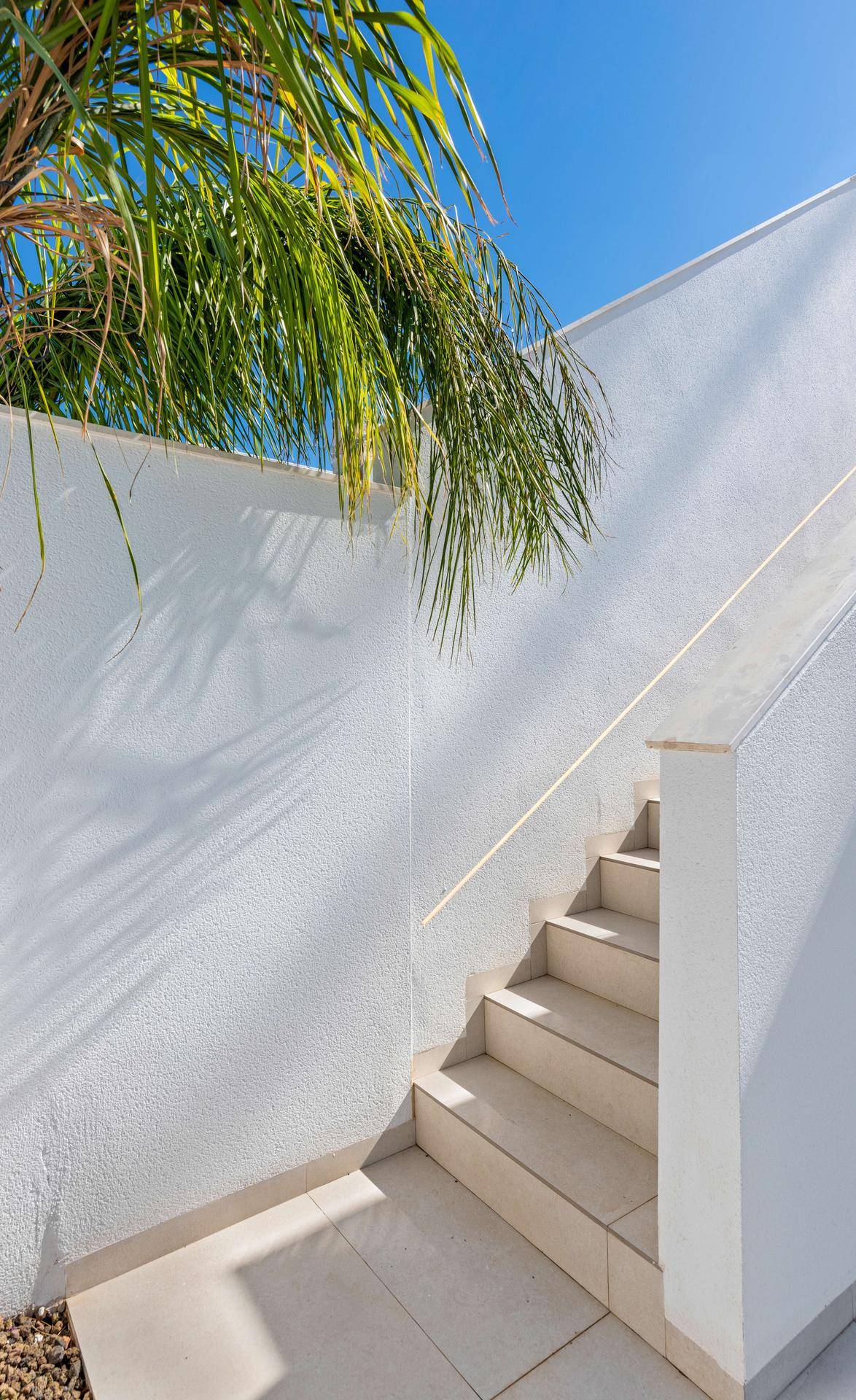 Außentreppe mit hellen Fliesen und einer Palme im Vordergrund unter blauem Himmel.