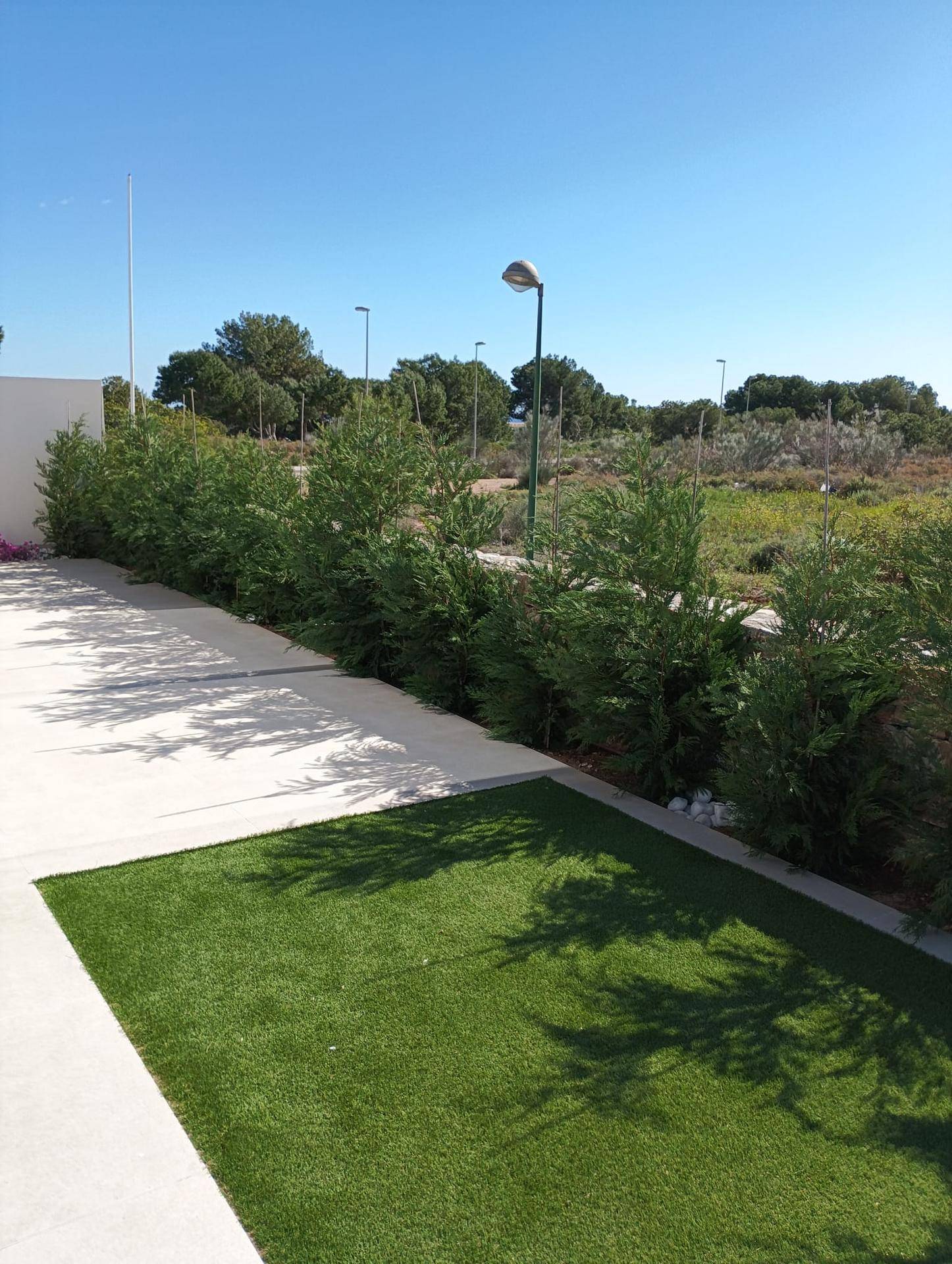 Gepflegte Rasenfläche und eine dichte Hecke, die den Gartenbereich der modernen Villa begrenzt.