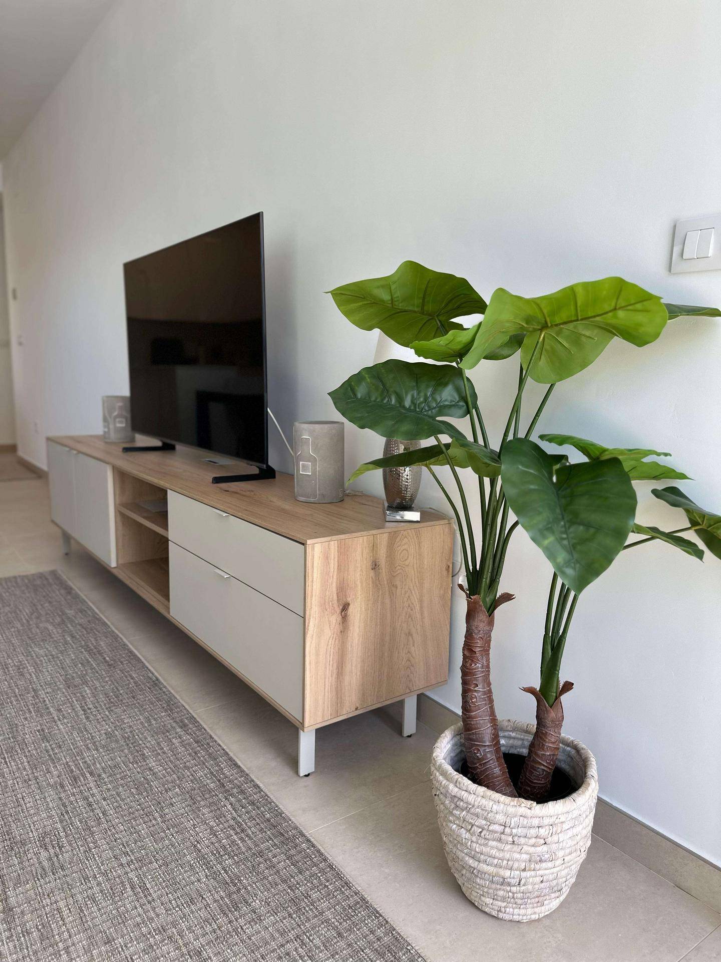 Moderner TV-Schrank mit Fernseher und dekorativer Pflanze im hellen Wohnzimmer.