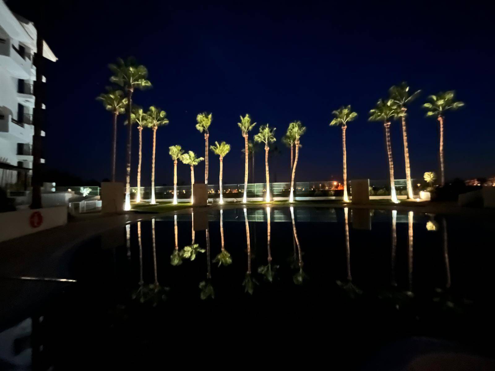 Beleuchteter Poolbereich bei Nacht mit reflektierenden Palmen und ruhiger Atmosphäre.