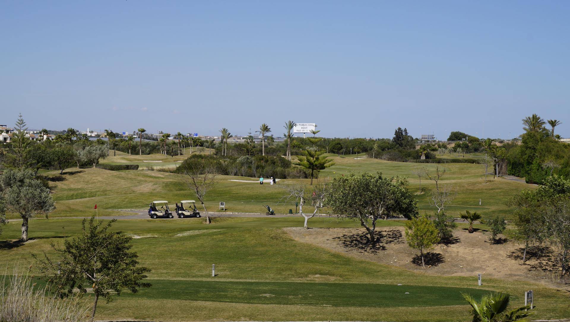 Weitläufiger Golfplatz mit Golfern und Carts, umgeben von grüner Landschaft und Palmen.