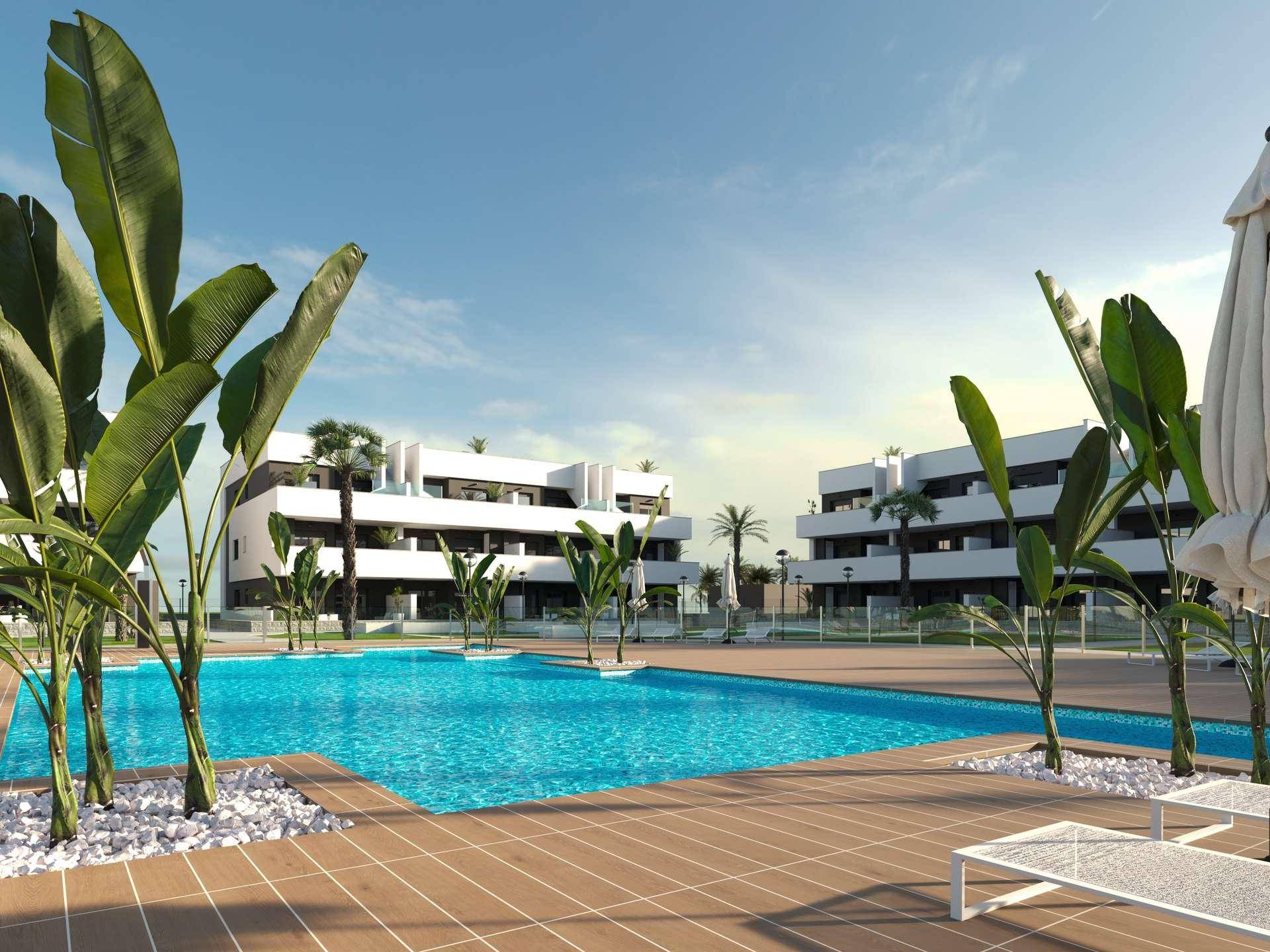 Oasis Laguna 15