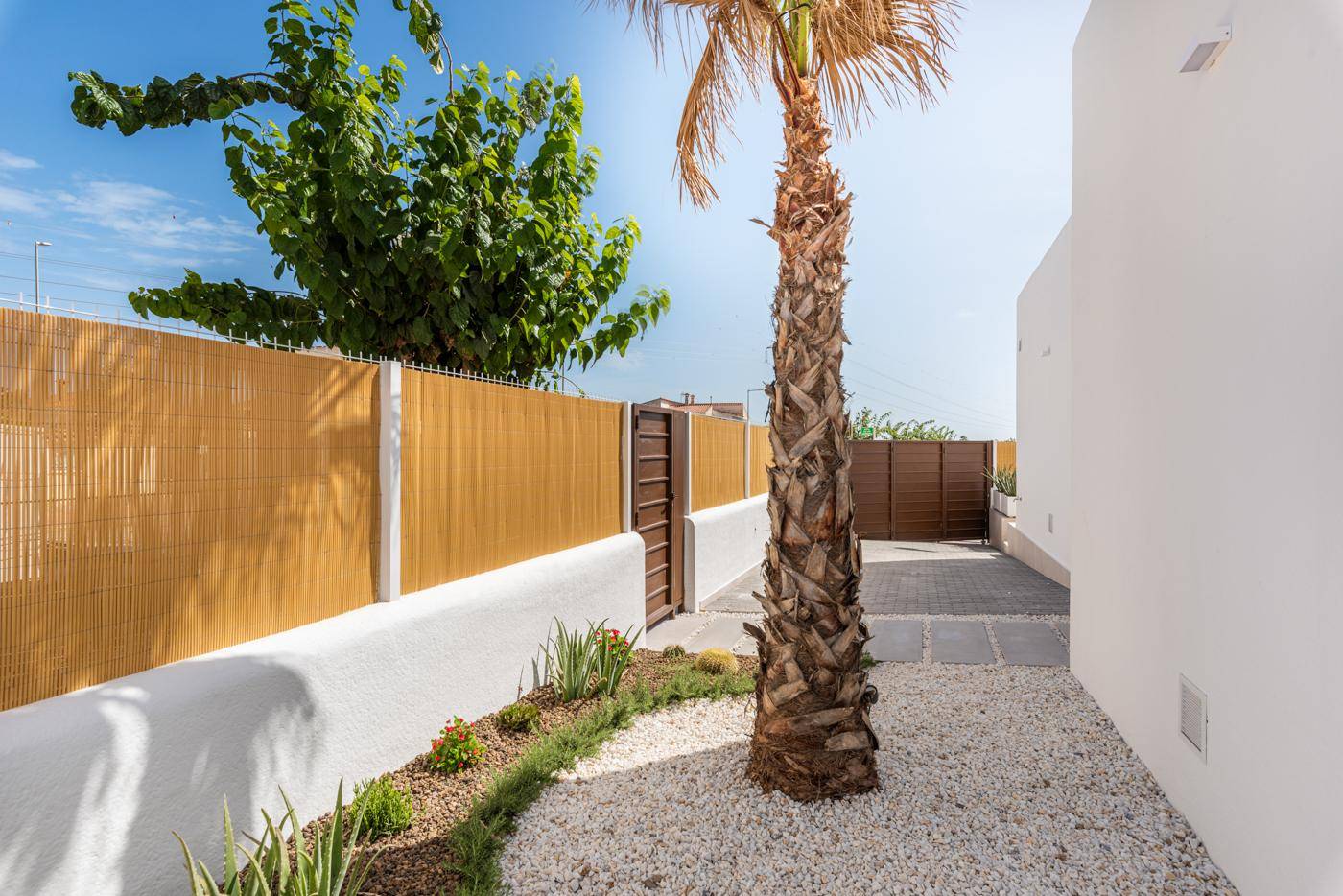 Seitlicher Gartenbereich mit Palmen, Kiesbeet und Zufahrt zum Grundstück.