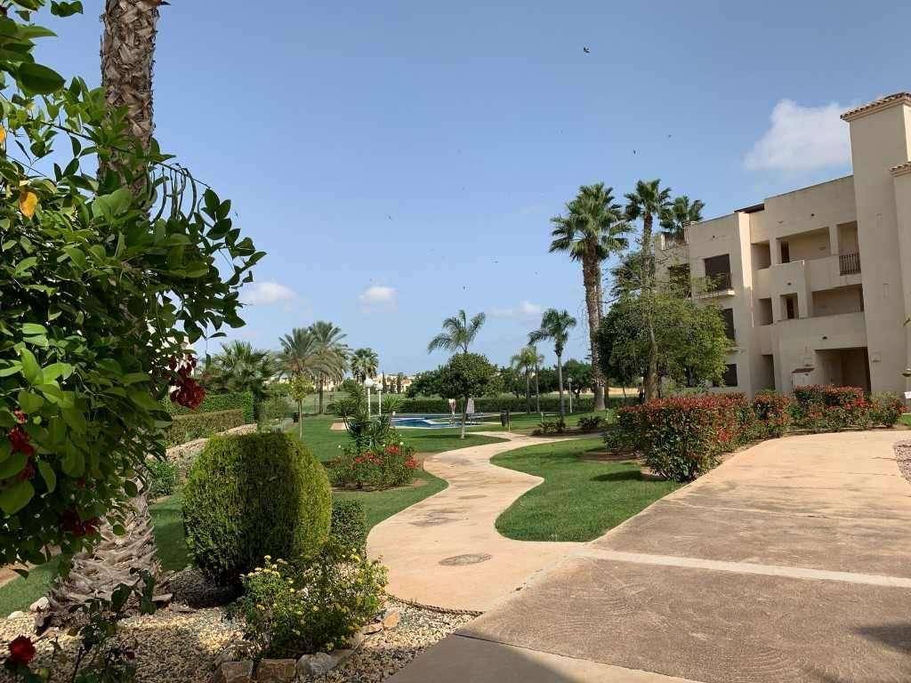 Gepflegte Gartenanlage mit geschwungenem Weg, Palmen und mediterraner Bepflanzung.
