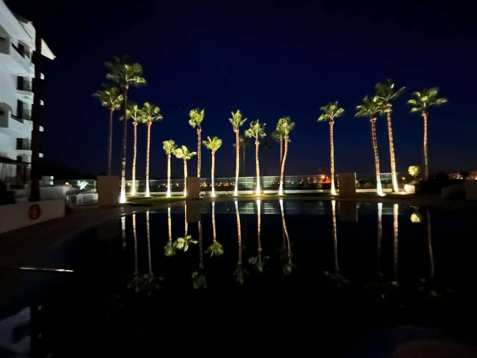 Nachtaufnahme eines Swimmingpools, der beleuchtete Palmen unter dunklem Himmel reflektiert.