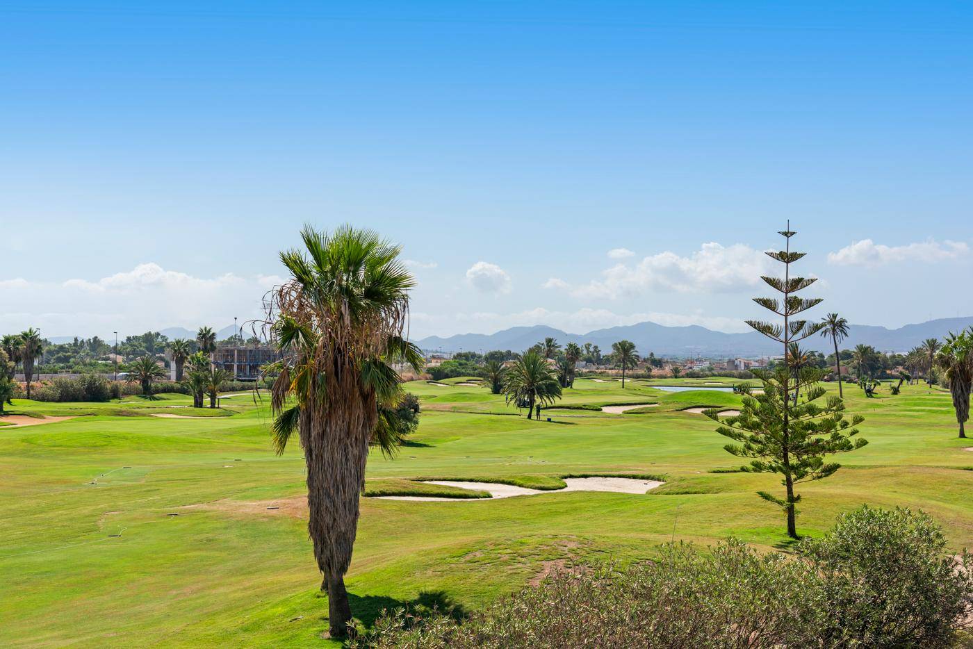 Panoramablick auf den grünen Golfplatz mit Palmen und Bergen im Hintergrund.