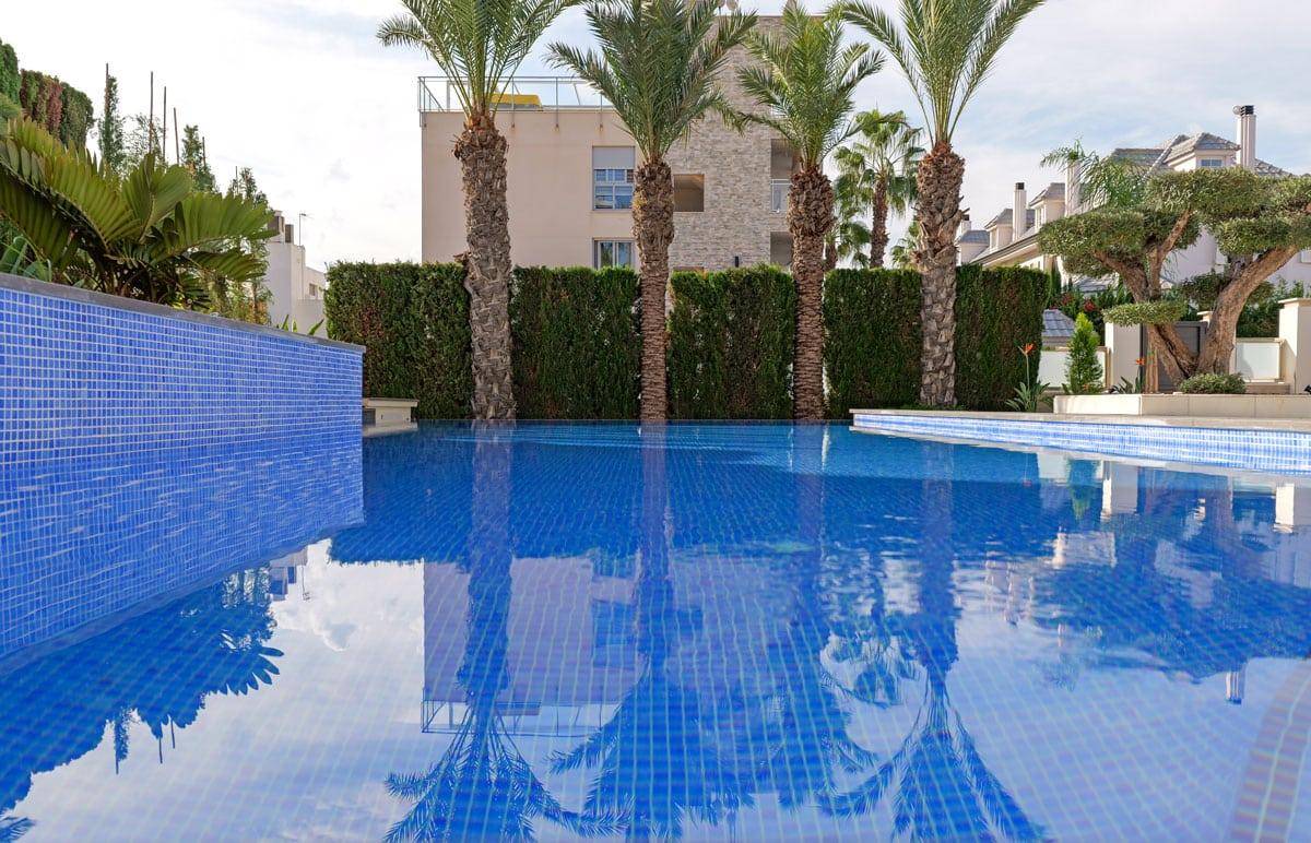 Blauer Mosaikpool umgeben von hohen Palmen und einer grünen Hecke, die Privatsphäre bietet.