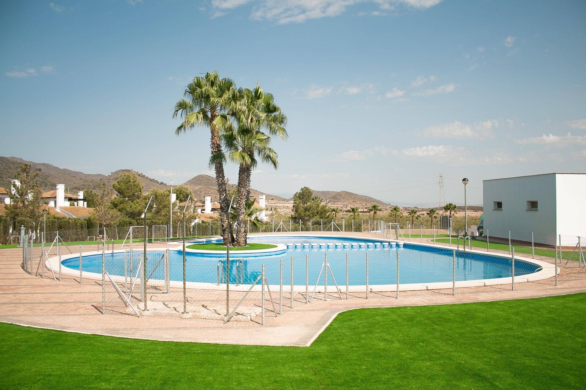 Großer Gemeinschaftspool mit Palmeninsel, umgeben von Rasenflächen und Bergen im Hintergrund.