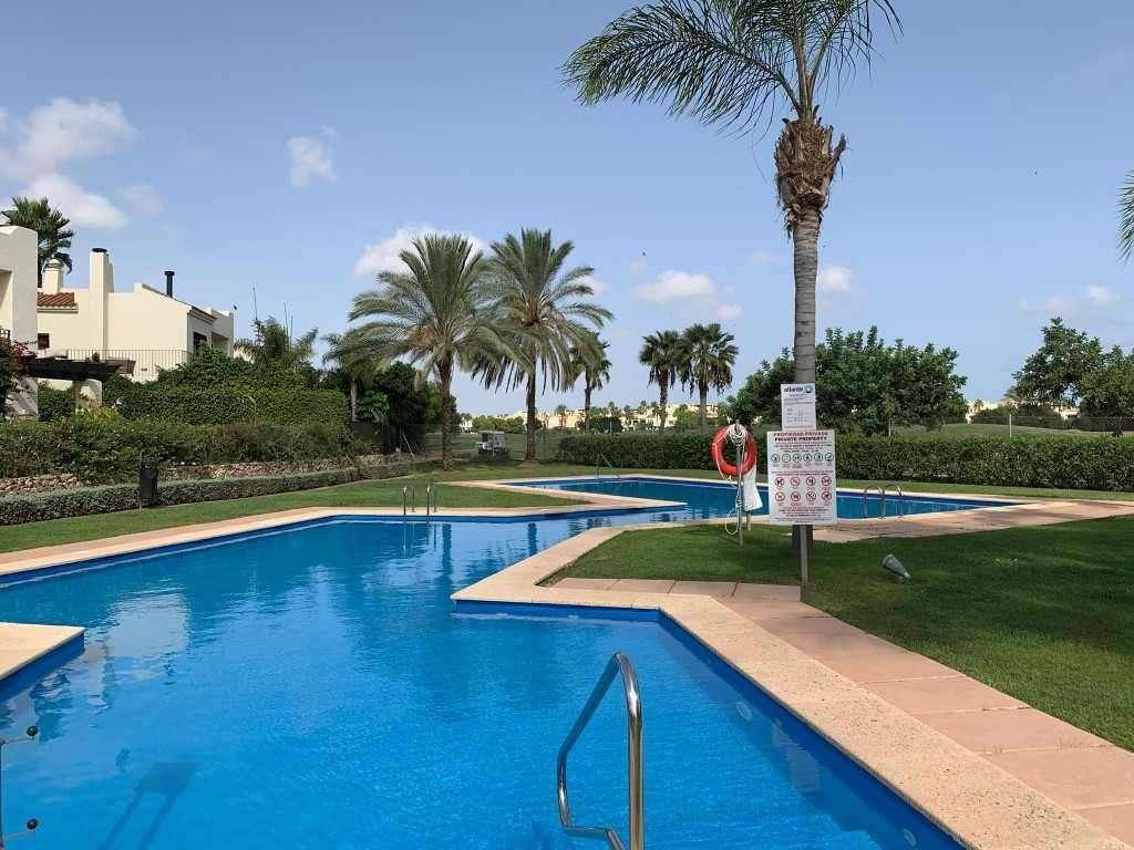 Großer Gemeinschaftspool mit Liegewiese und Palmen, ideal zum Entspannen.