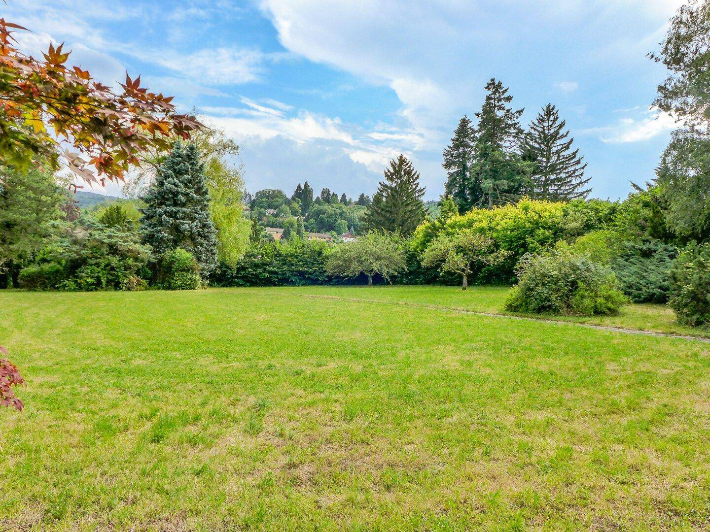 Weitläufige Gartenlandschaft mit verschiedenen Bäumen und einem Steinweg, umgeben von Natur.