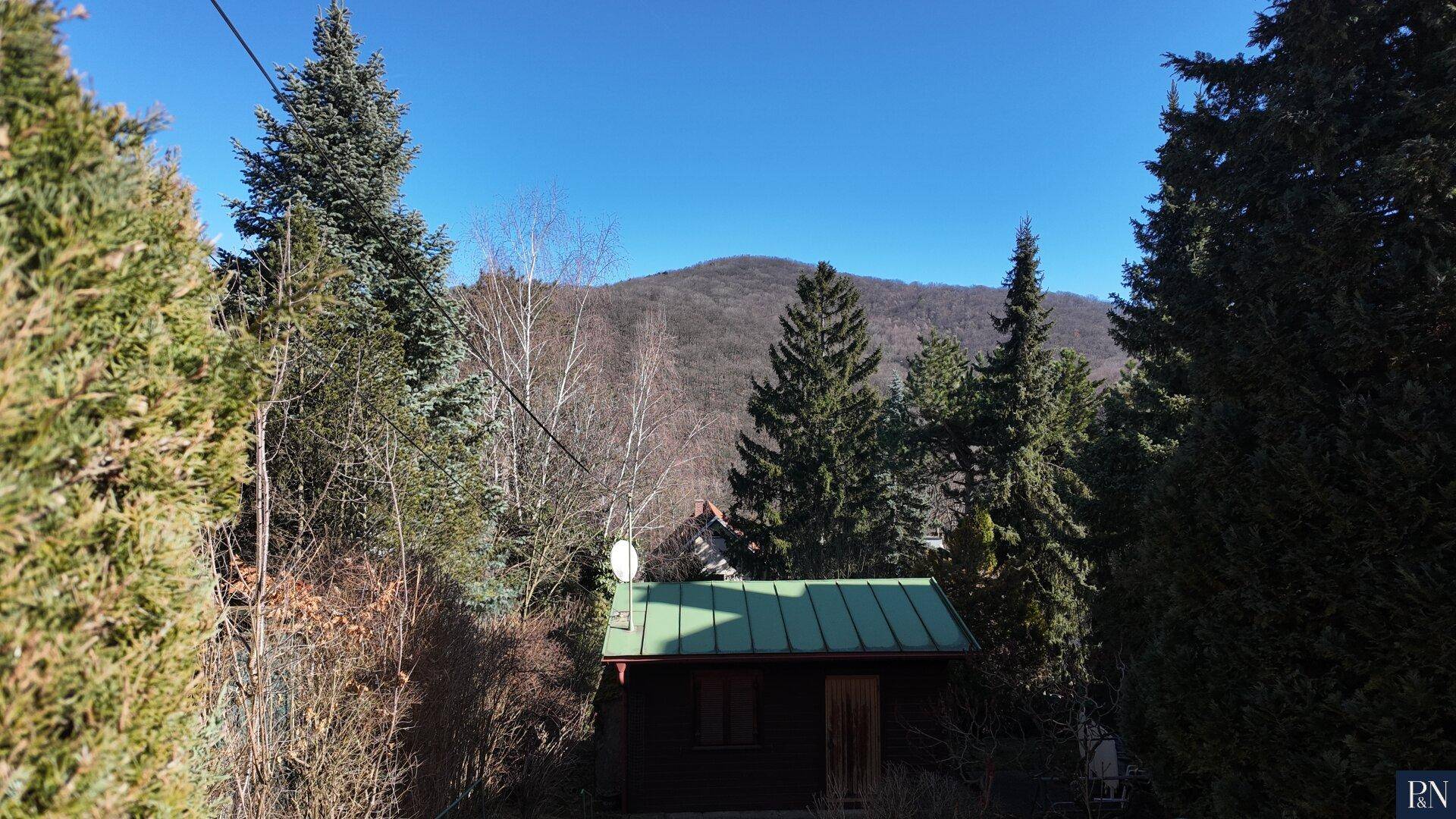 Kleines Holzhaus mit grünem Dach, umgeben von Bäumen und mit Bergblick.