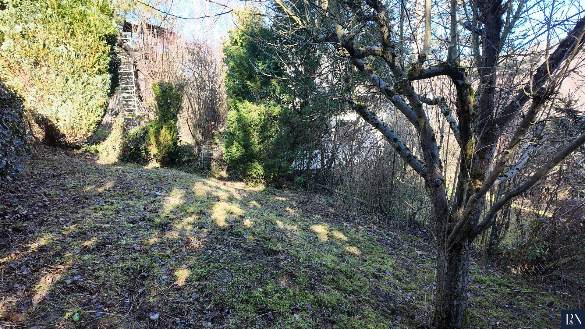 Naturbelassener, leicht abfallender Gartenbereich mit Bäumen und Sträuchern.
