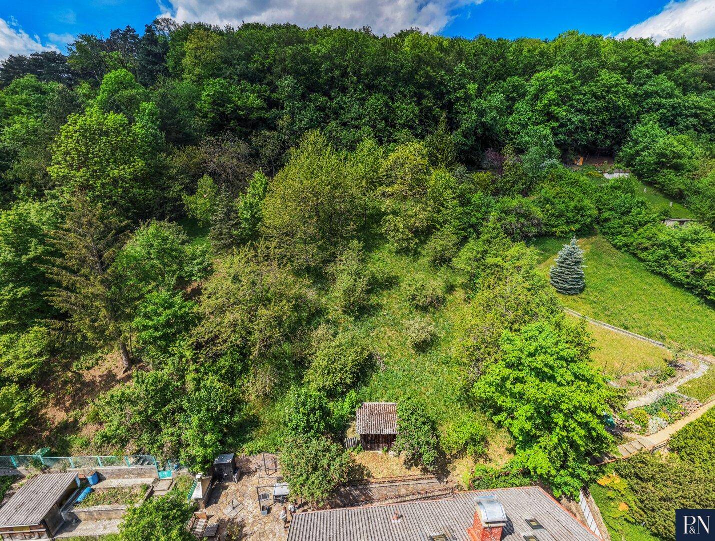 Blick auf den bewaldeten Hang hinter dem Grundstück mit üppiger Vegetation und kleinen Gartenbereichen.