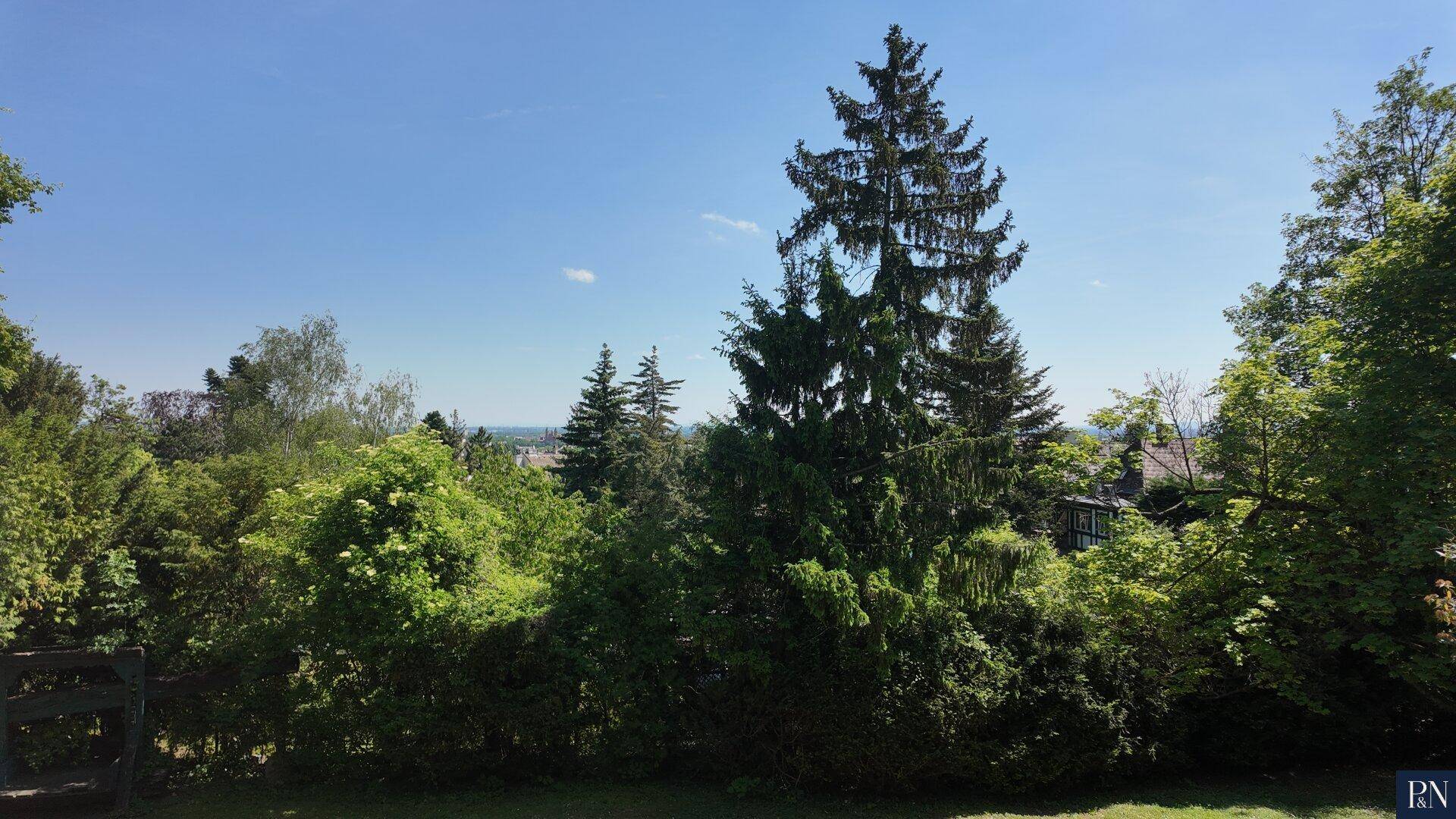 Weitläufiger Blick auf die umliegende grüne Landschaft und den klaren blauen Himmel.