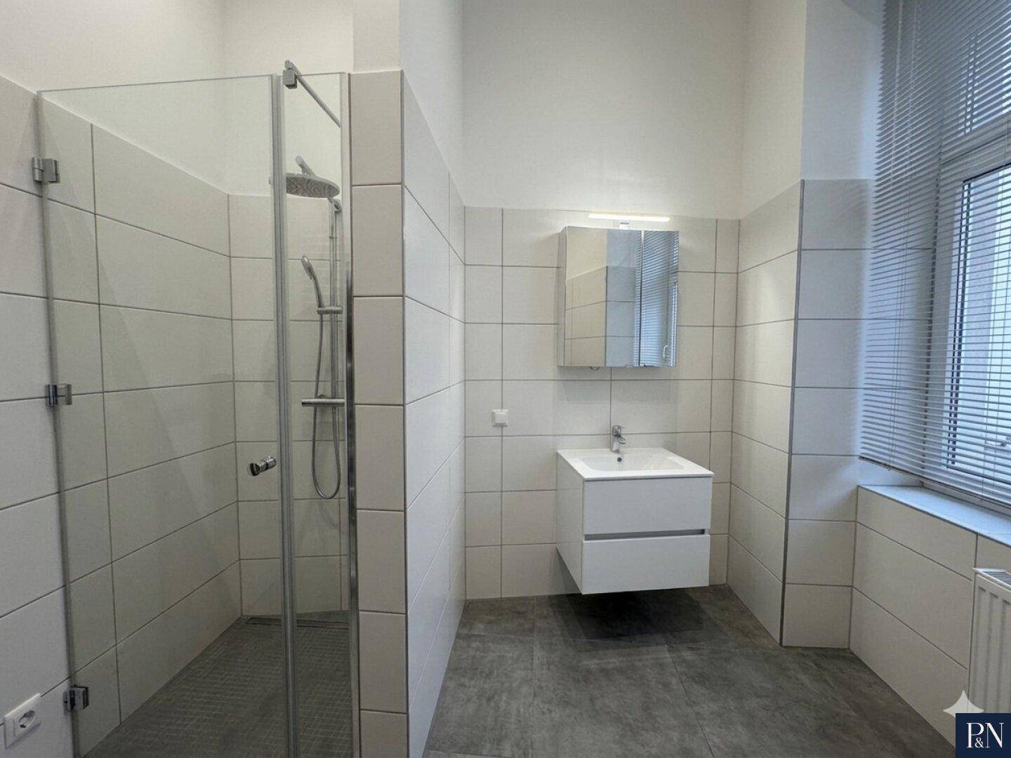 Modernes Badezimmer mit großer begehbarer Dusche, Einzelwaschbecken und Spiegelschrank.