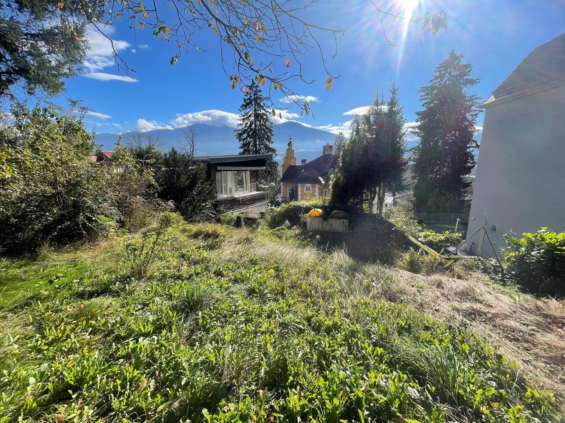 Verwilderter Gartenbereich mit weitem Blick auf die umliegende Landschaft und Berge unter blauem Himmel.
