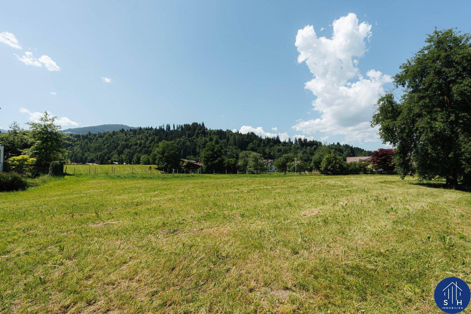 Weite grüne Wiese unter einem strahlend blauen Himmel mit wenigen Wolken.
