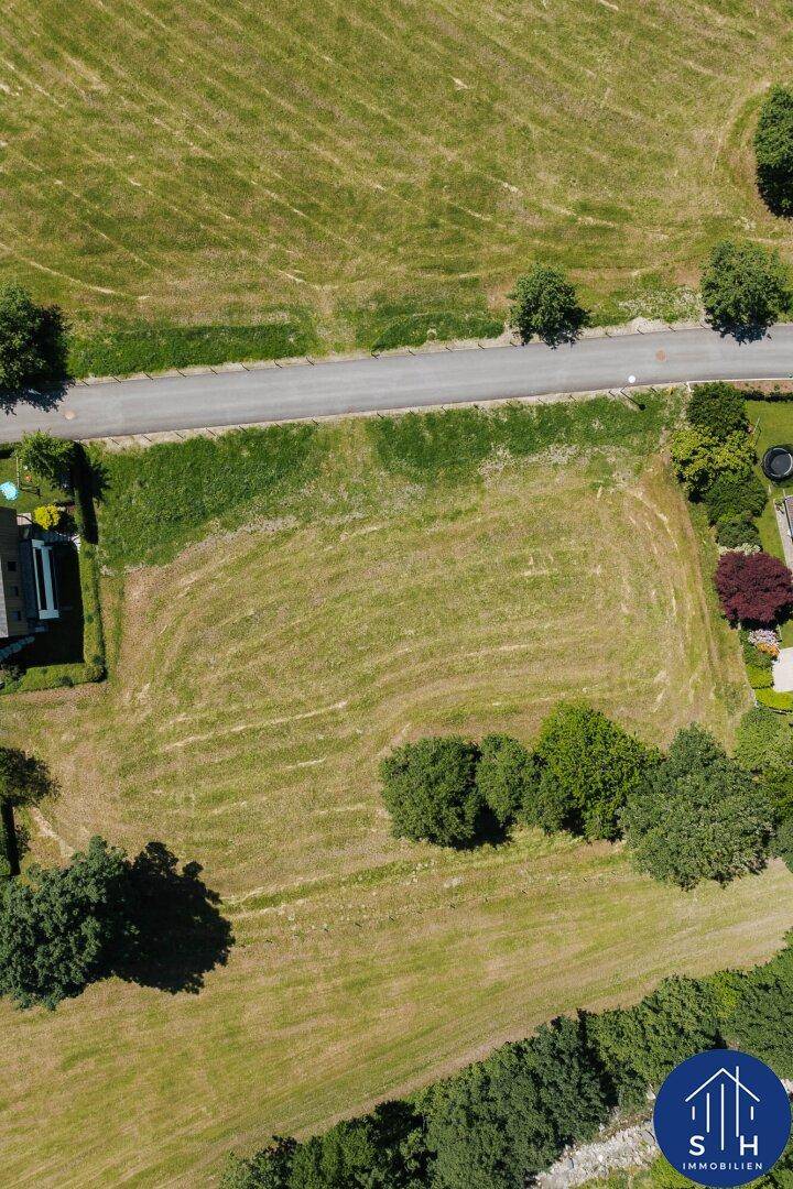 Vertikale Luftaufnahme eines großen grünen Grundstücks mit einer asphaltierten Straße.