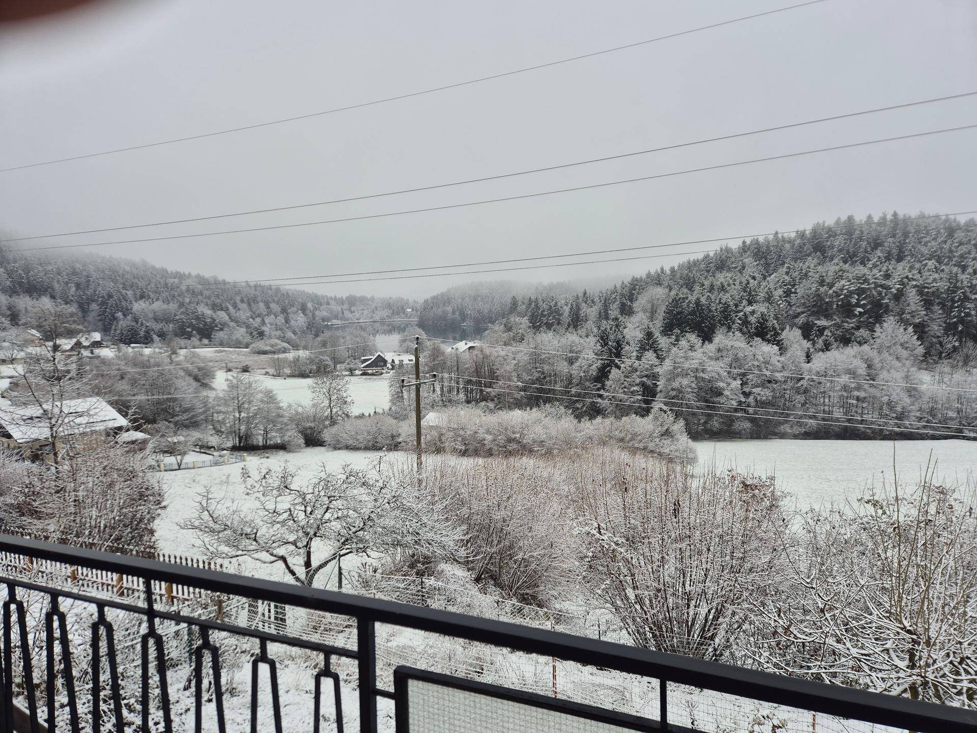 Winterlandschaft mit schneebedeckten Bäumen und Feldern, im Hintergrund ein See unter grauem Himmel.