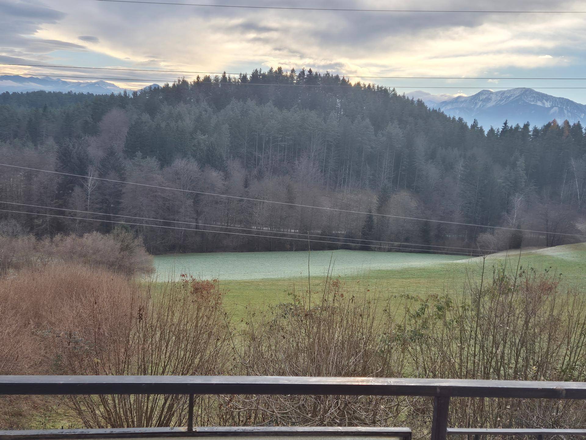 Weitläufiger Blick über eine grüne Wiese und bewaldete Hügel bis zu den schneebedeckten Bergen.