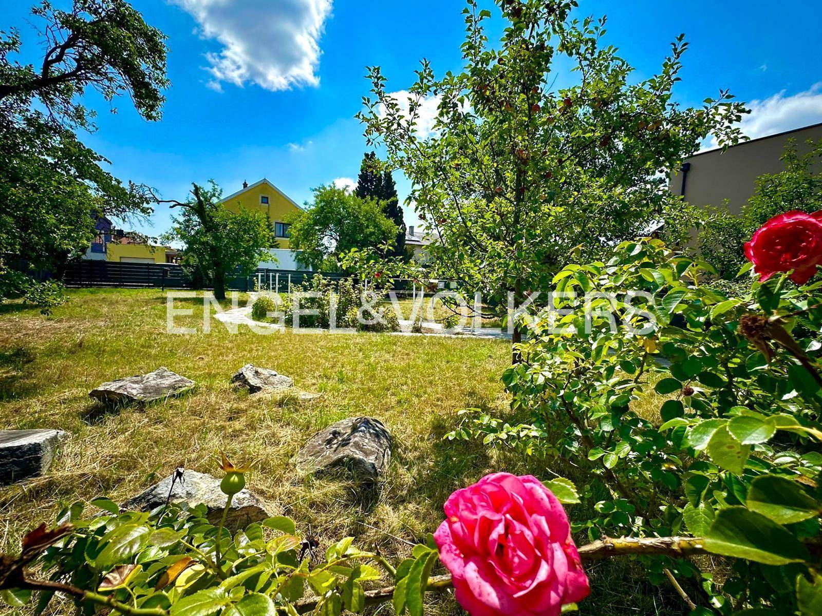 Blühender Gartenbereich mit Rosen, Felsen und einem Blick auf das dahinterliegende Wohnhaus.