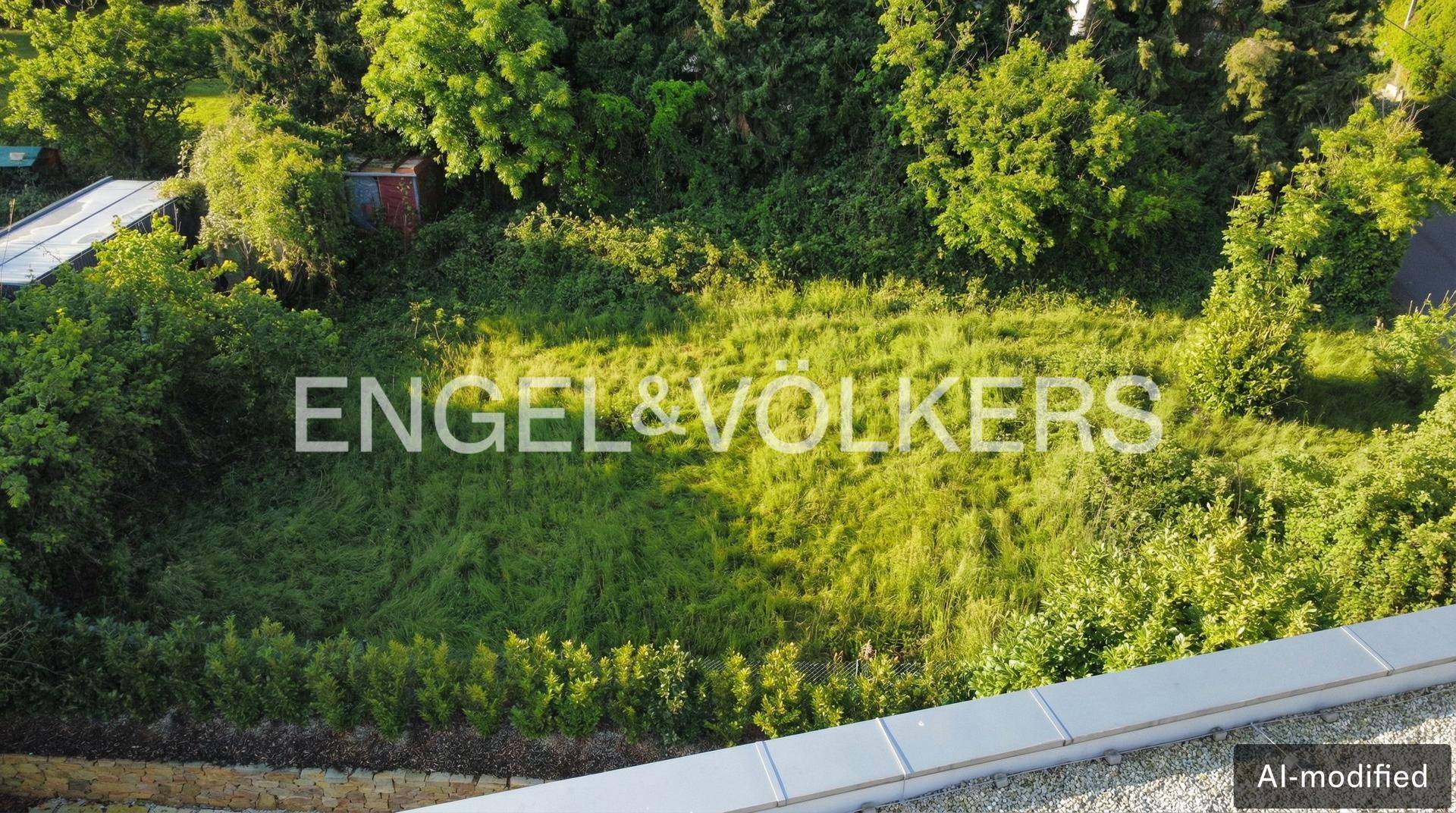 Luftaufnahme eines weitläufigen, naturbelassenen Gartengrundstücks mit hohem Gras und umgebenden Bäumen.